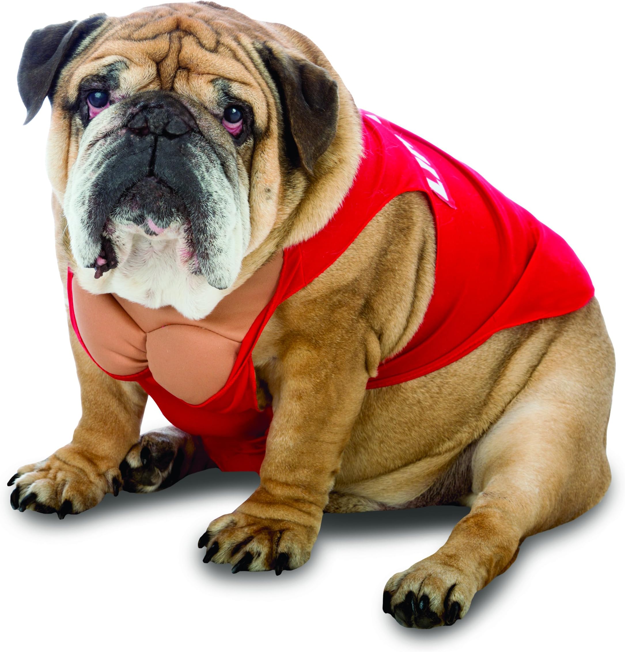 Rasta Imposta Lifeguard Dog Costume, Medium