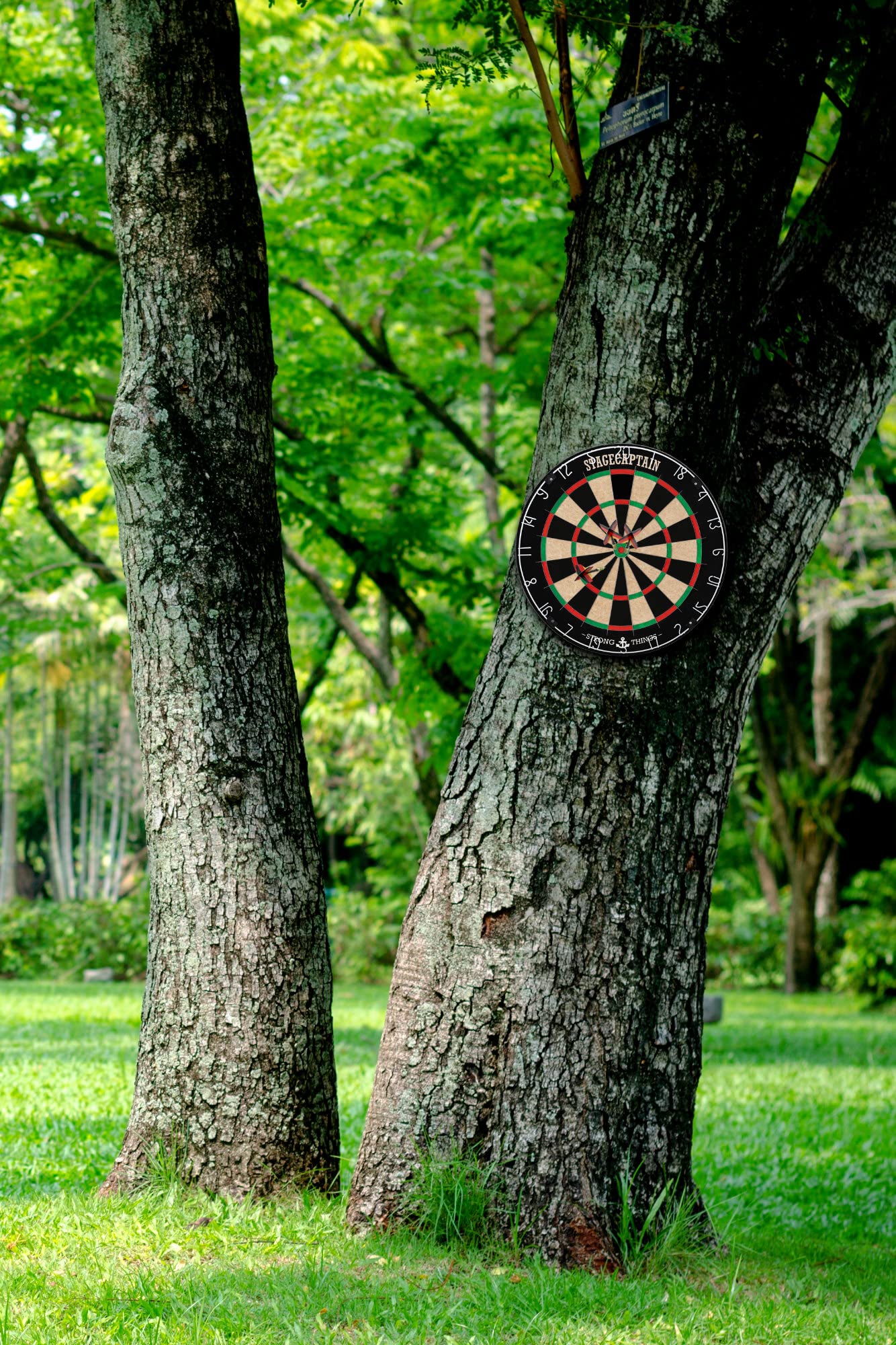 Stagecaptain DBS-1715 Bullseye Pro Dartscheibe mit Pfeilen - Profi Steeldartscheibe aus Sisal - Dartboard mit extra dünnen Drähten - Dart Scheibe mit 6 Dartpfeilen und 4 Sets Flights
