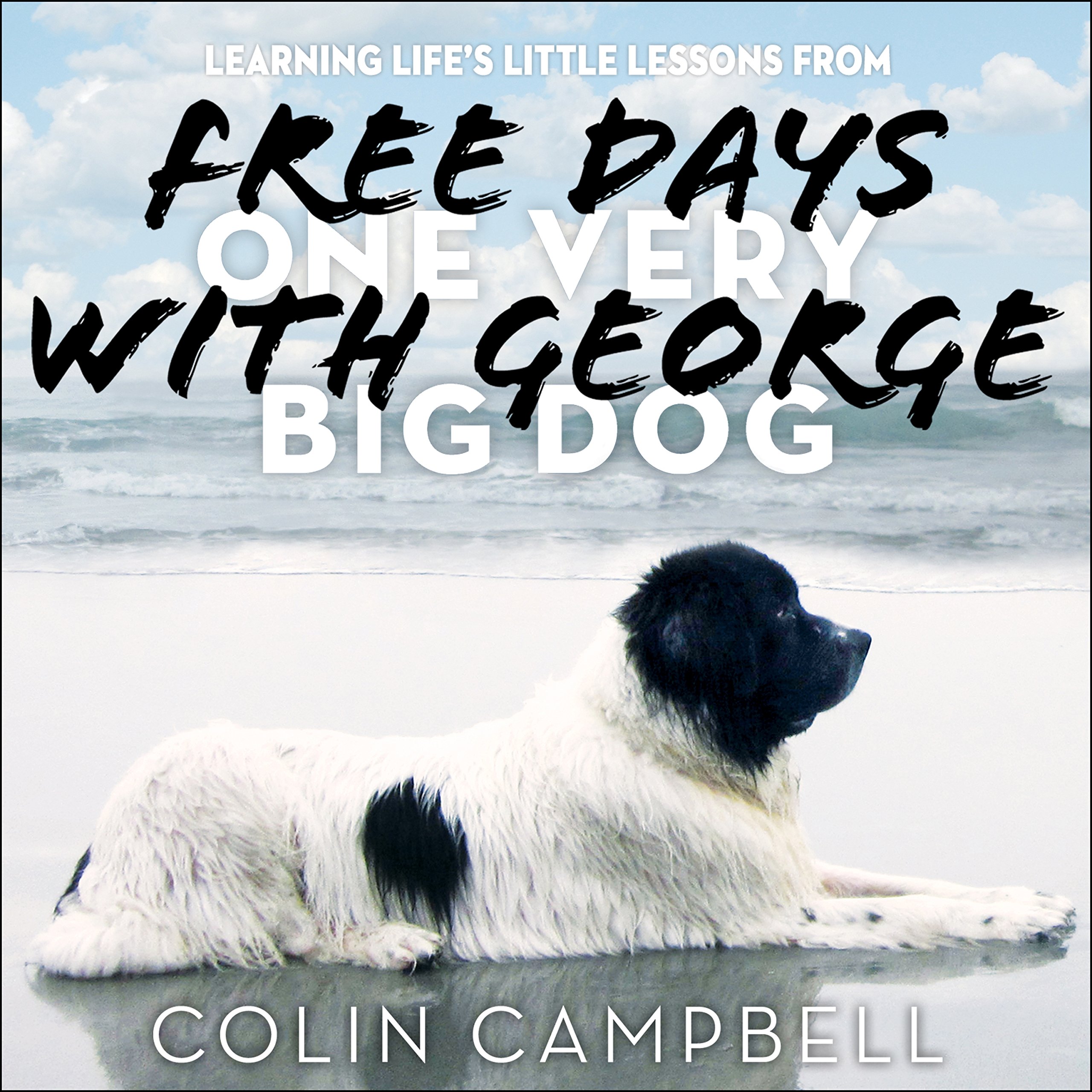 Cover art for Free Days with George