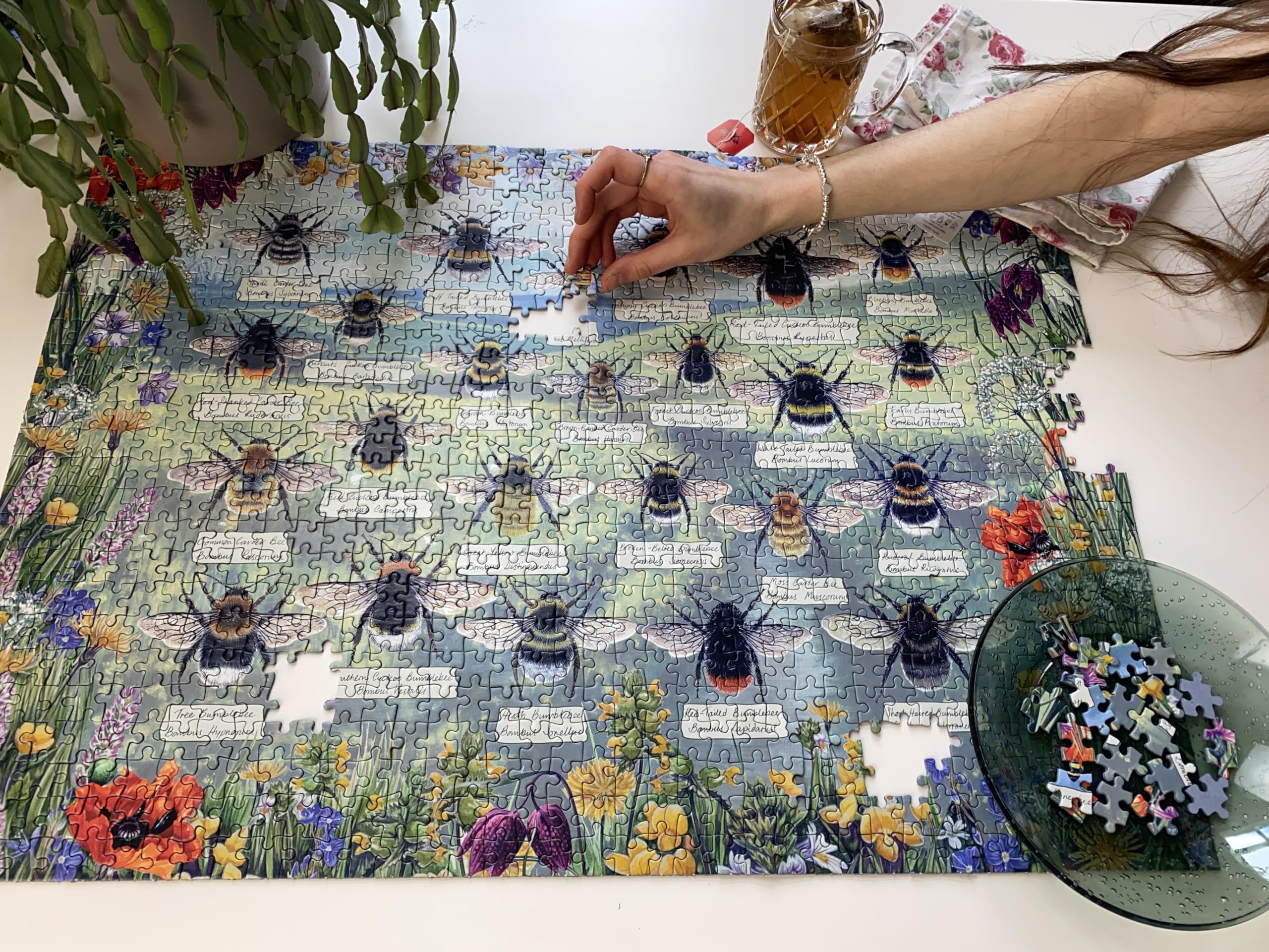 Gibsons Brilliant Bees 1000 Piece Jigsaw Puzzle, 48.5 cm x 68 cm - Image 3