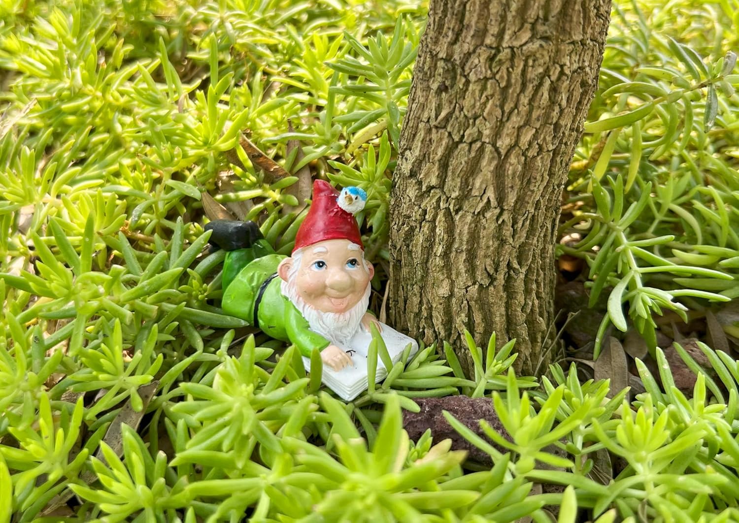 7cs Gnome Miniature Set with Deer and Squirrel for Fairy Garden, Lovely Resin Dwarf Figurines Kit for Garden Yard Patio Outdoor Home Decoration - Image 7