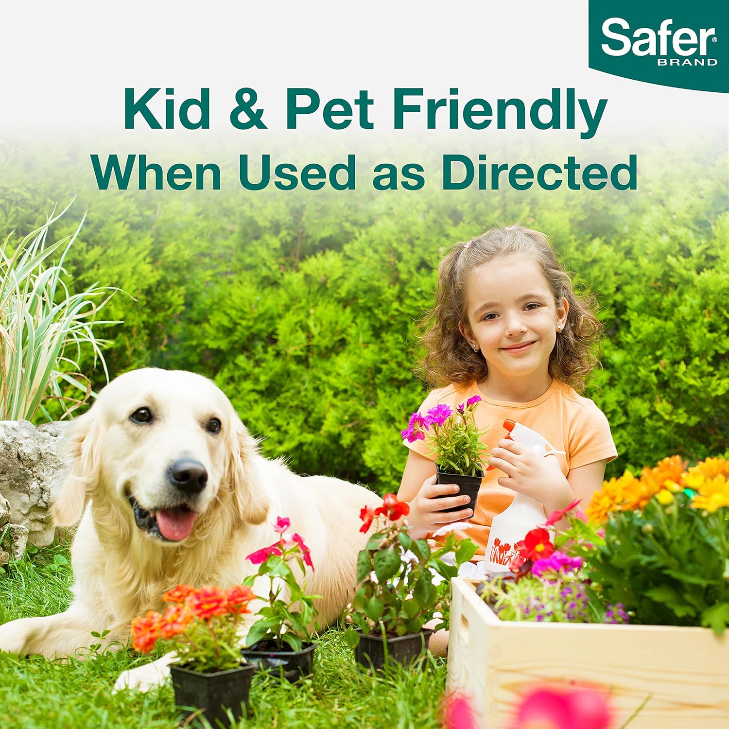 Safer Brand 94AH Azalea & Holly Restore Fertilizer