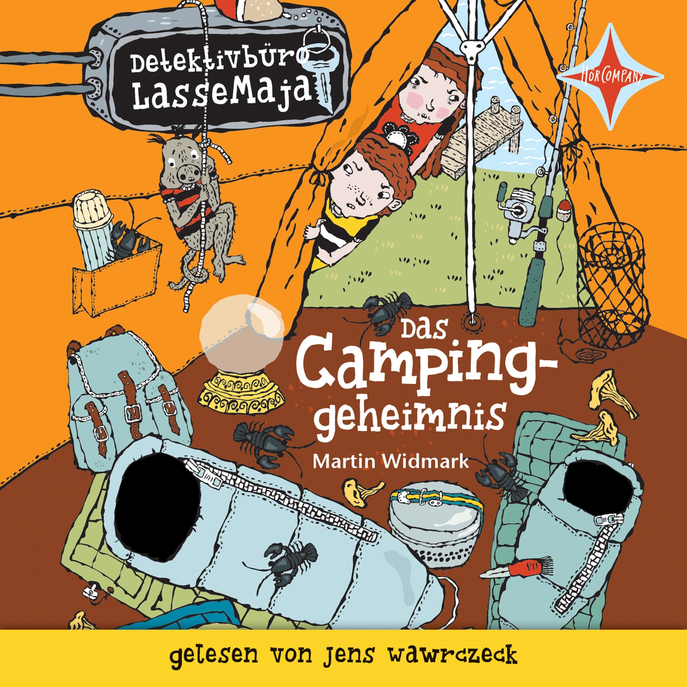 Cover art for Das Campinggeheimnis