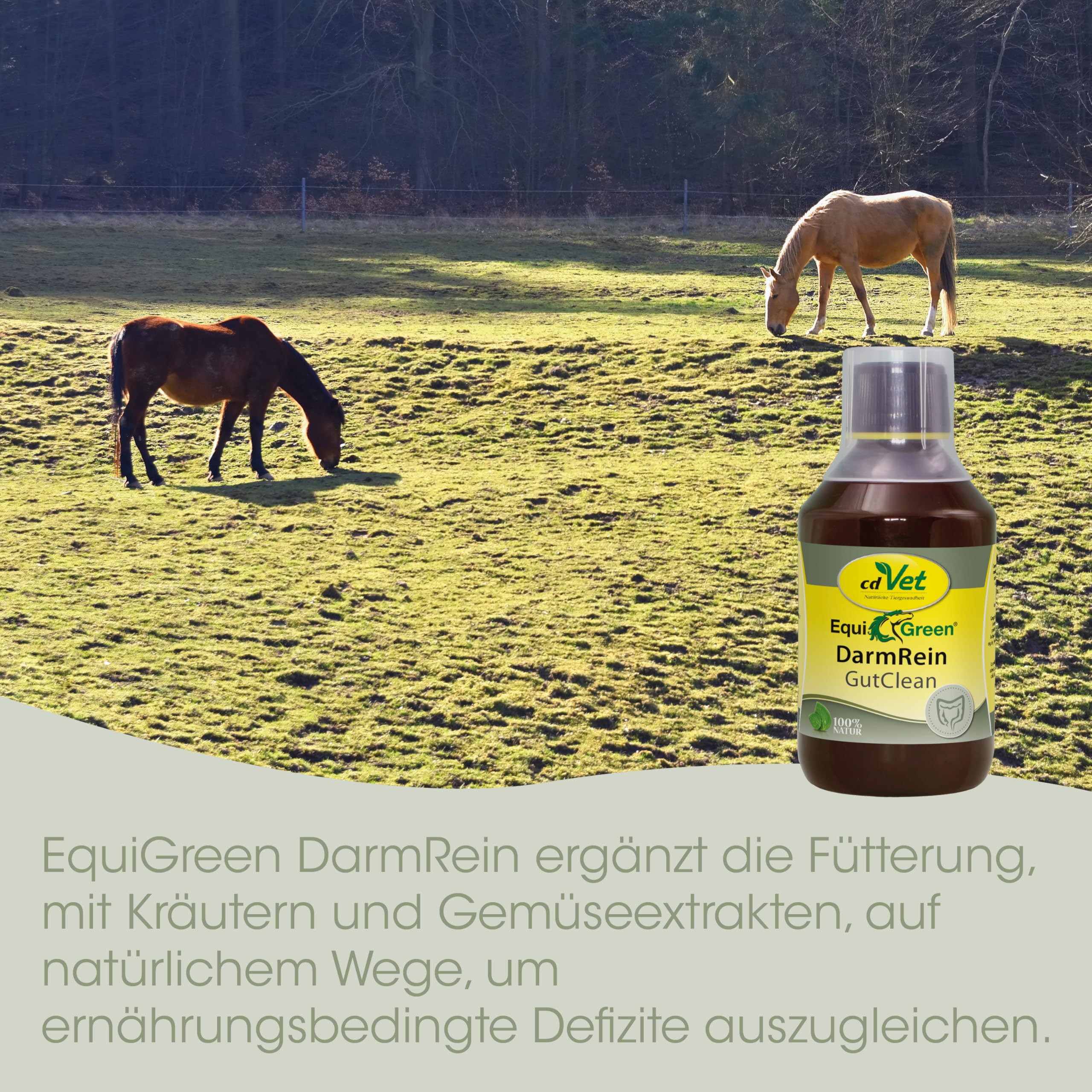 EquiGreen DarmRein 250ml - Natürliches Pferdefutter zur Unterstützung der Darmflora und Verdauung