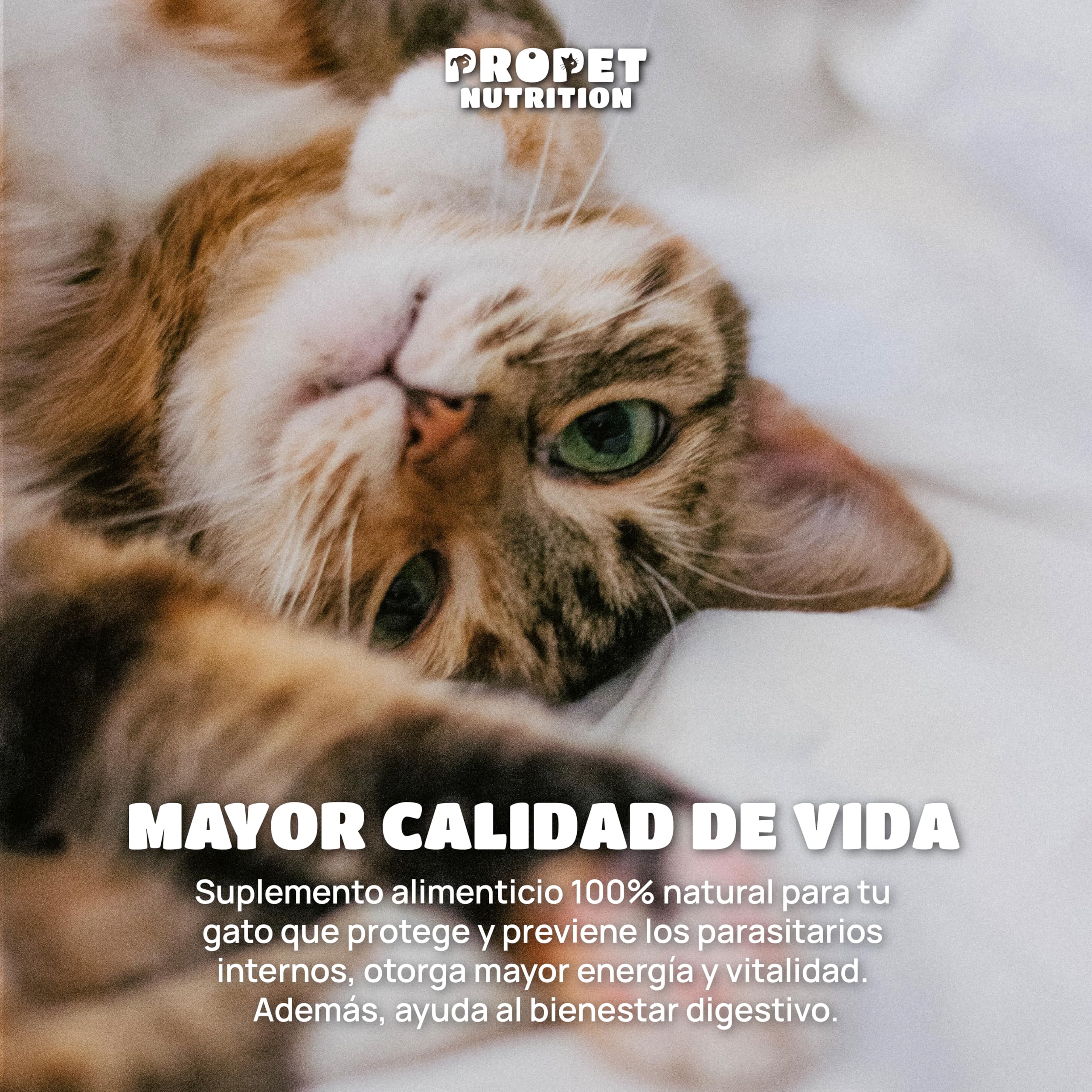 Desparasitente Gatos Interno. 100% Natural. 120 Dosis. 12 Plantas de Rápida Absorción y Eficacia. con Malta, Vitaminas y Probióticos. Antiparasitario Gatos. Desaparasita, Repara y Previene