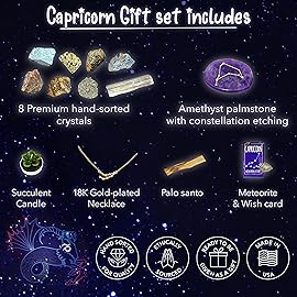 DANCING BEAR Capricorn Zodiac Healing Crystals Gift Set (14 Pc): 9 Stones, 18K Gold-plated Constellation Necklace, Meteorite, Succulent Candle, Palo Santo Smudge stick, and Info Guide, Made in the USA