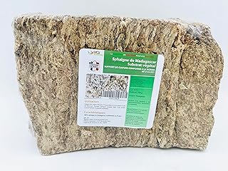 500gr Sphaigne de Madagascar – Support de Culture végétal Naturel – Retient l’Eau – Idéal orchidées, semis, terrariums, kokedamas - Conforme à la Norme NF U 44-551