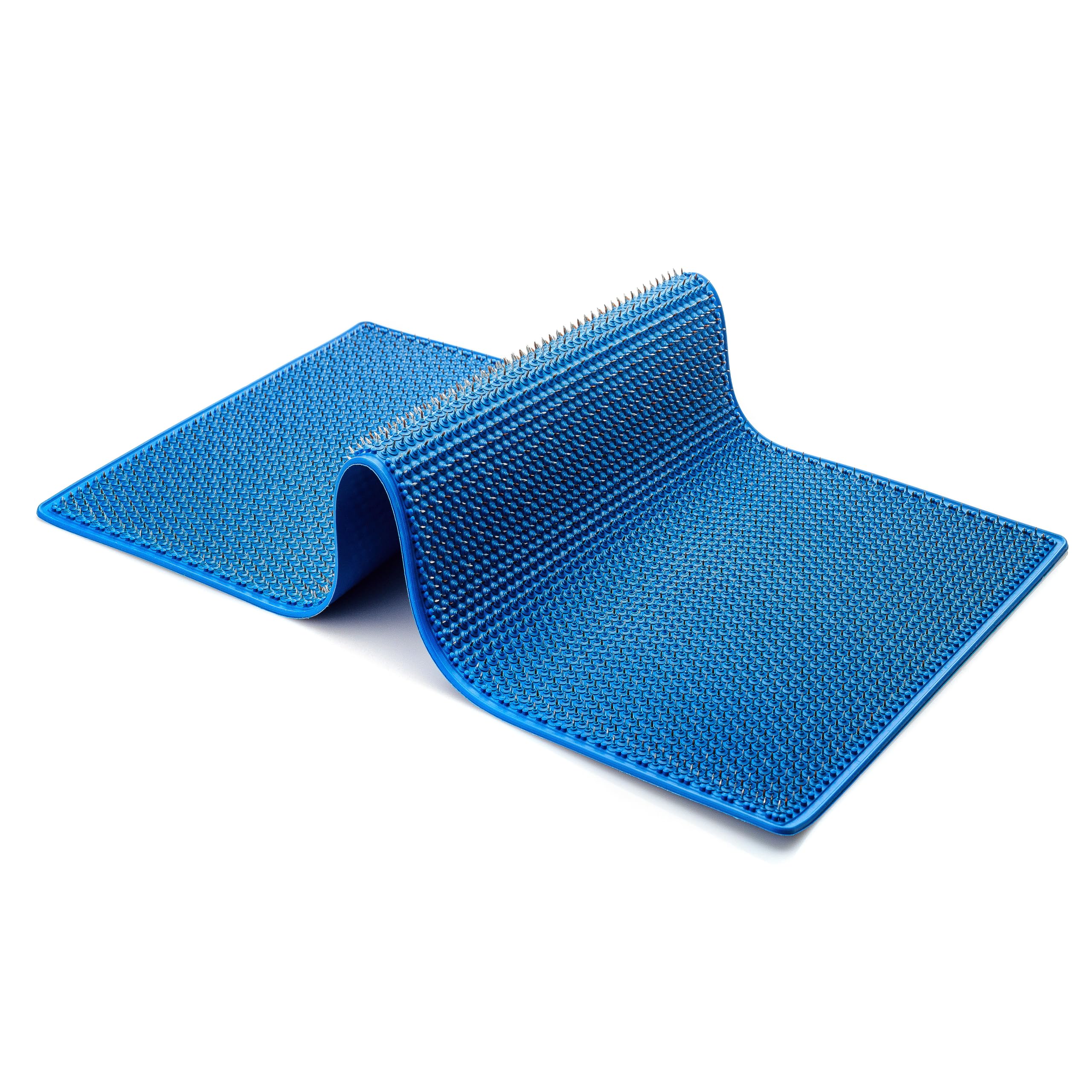 Amazon.com: LYAPKO NEW Big Pad Acupuncture Applicator 6.2 AG 4538
