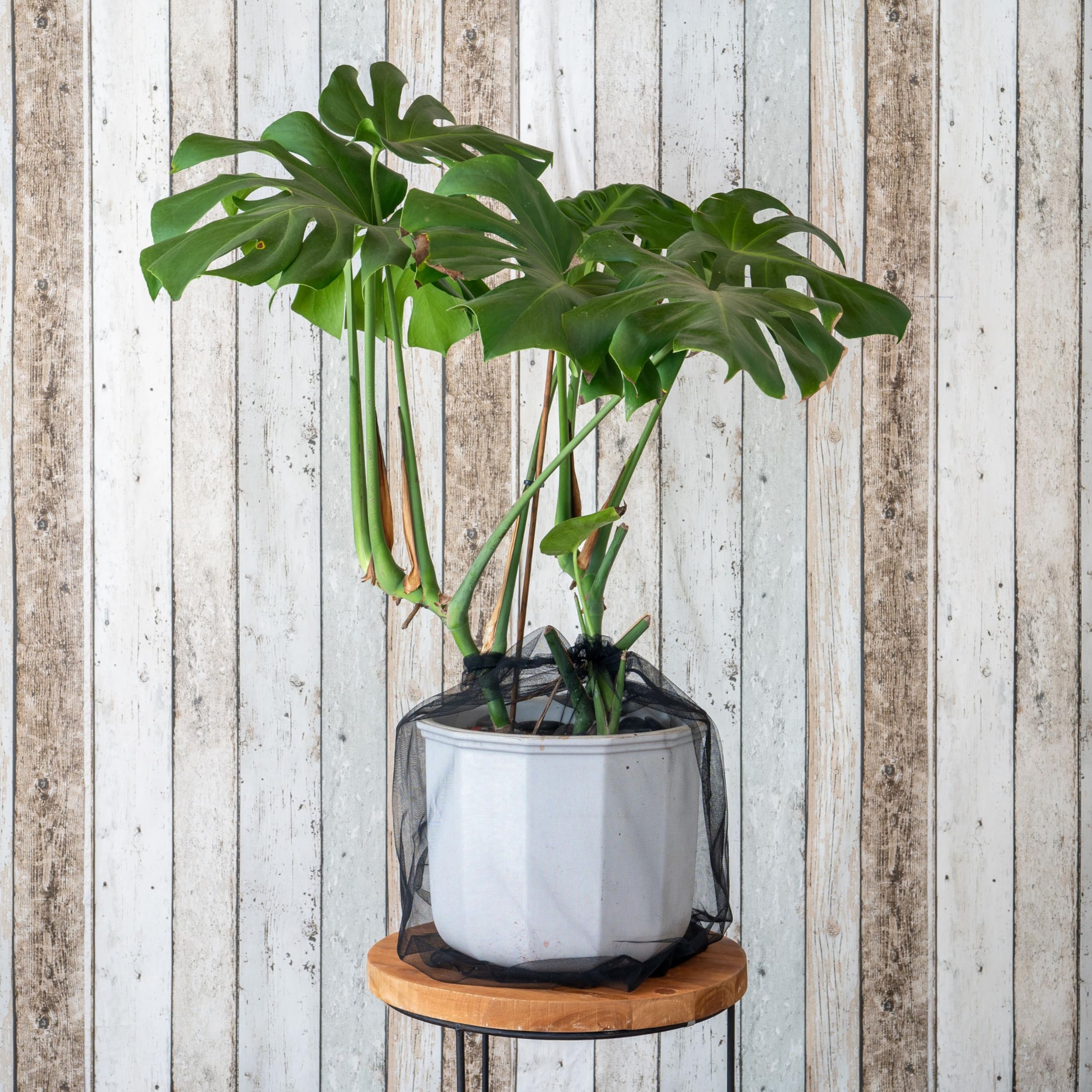 Sécurité Enfants pour Plantes d'intérieur, 2 pcs, pour Pots de Fleurs jusqu'à Ø 30 cm, en Nylon Noir, Filet de Protection des Plantes sécurité bébé Contre la Terre, Les Engrais