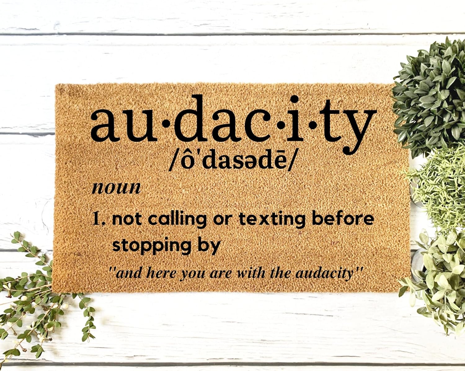 Audacity Doormat, Mat, Funny Doormat, Housewarming