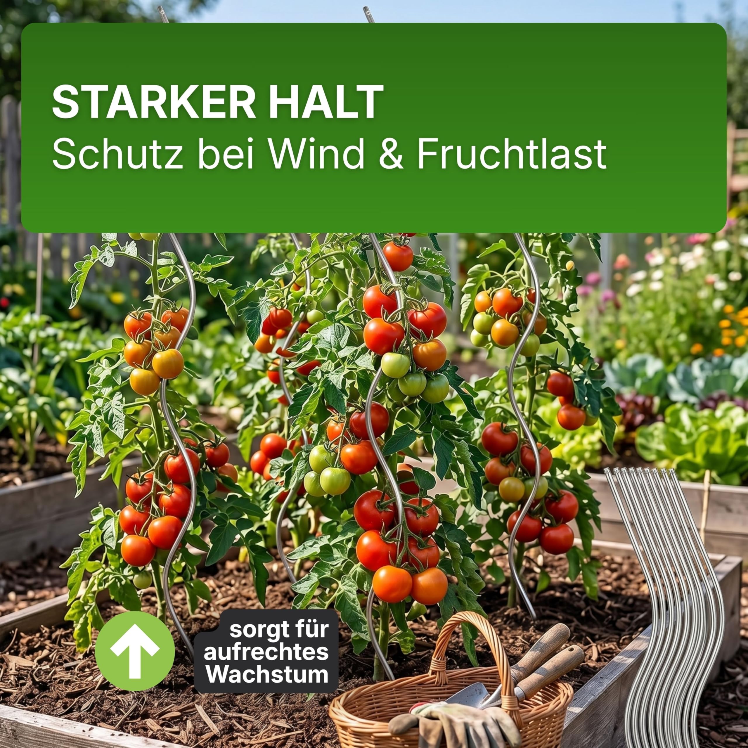 Gartenwelt Riegelsberger Tomatenspirale 180 cm – 20 Stück Tomatenstäbe aus Stahl Ø 5,6 mm, stabile Pflanzenstütze für Tomaten & Kletterpflanzen, wetterfest für Garten & Gewächshaus