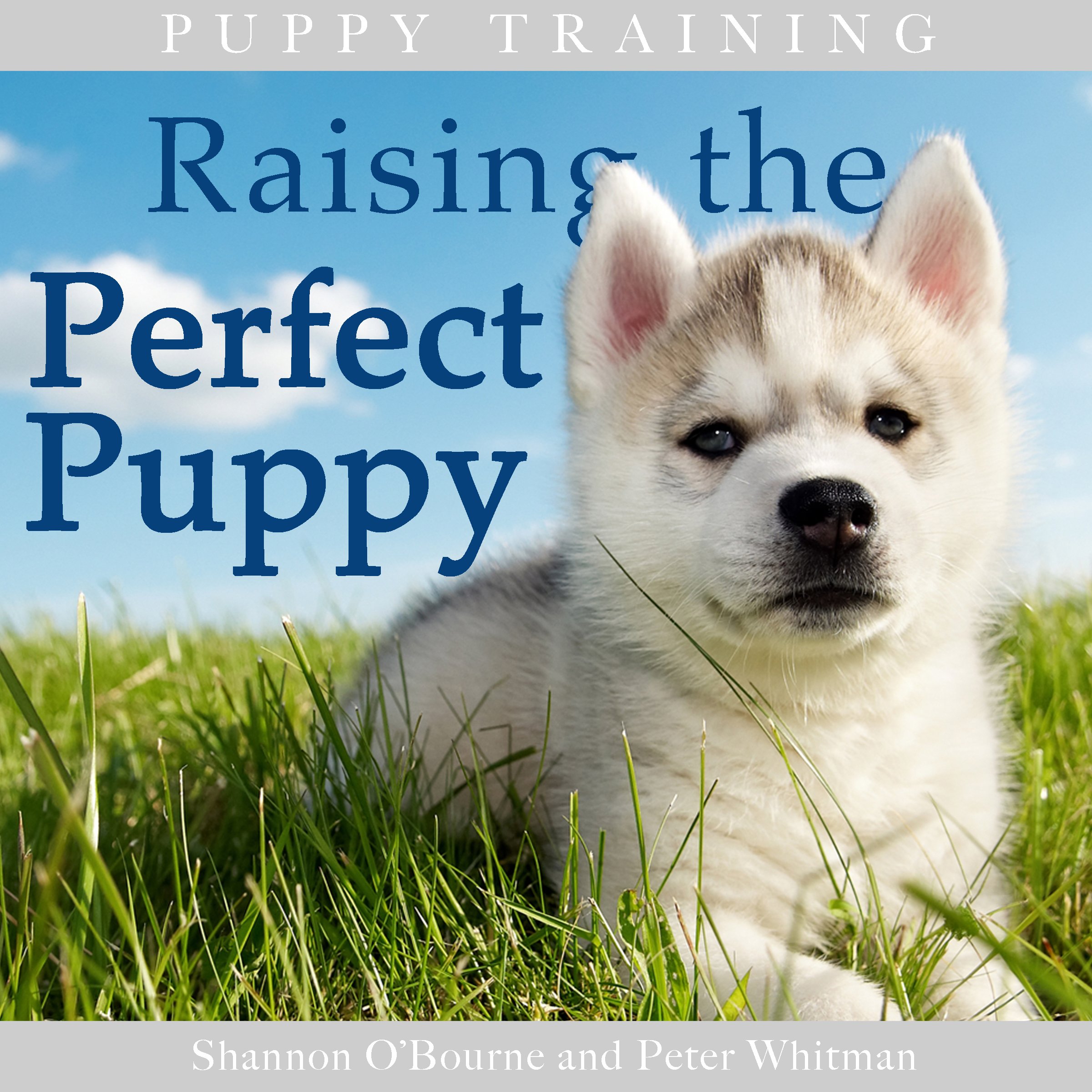 Cover art for Puppy Training