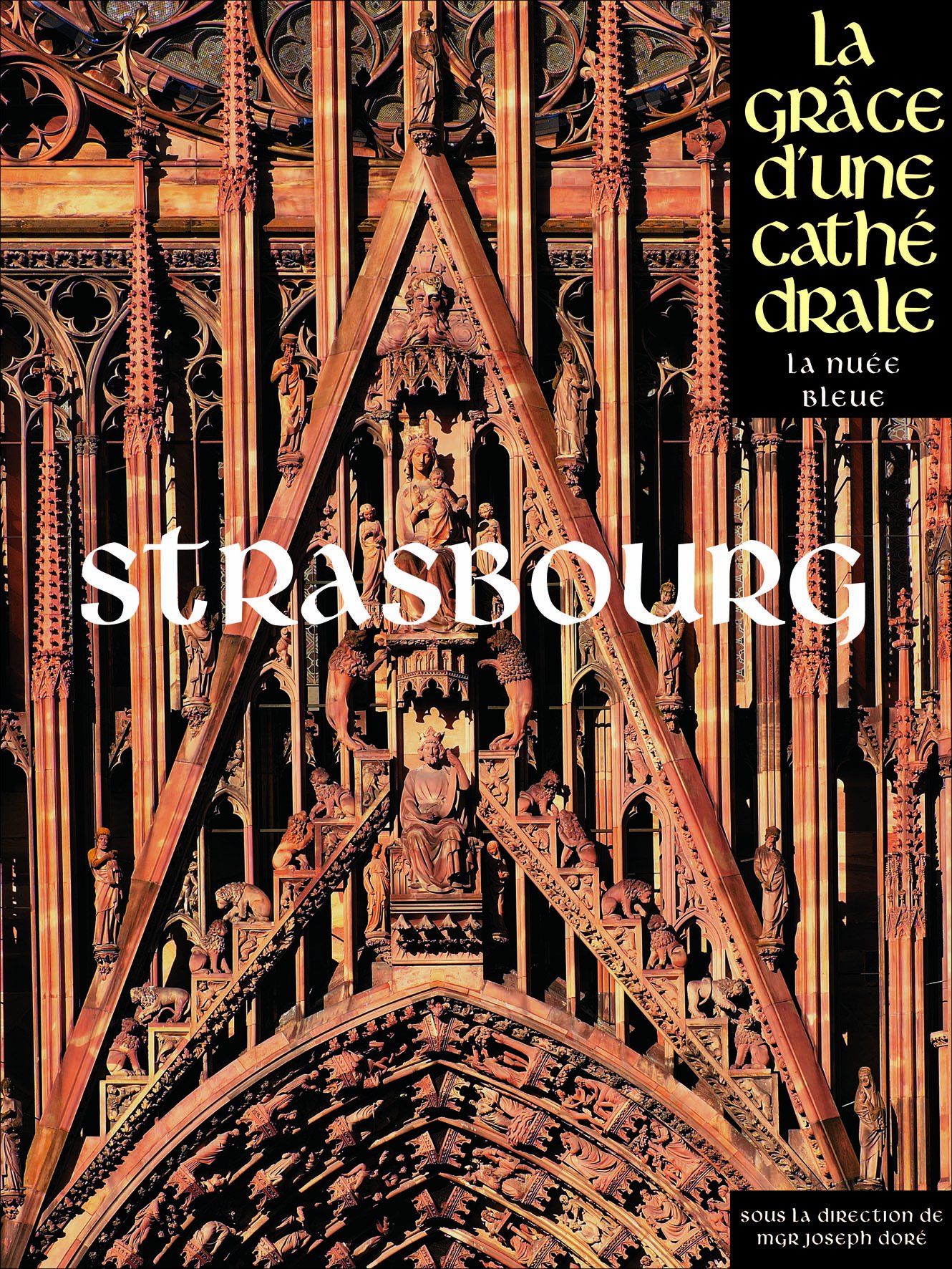 Strasbourg - La Grâce d'une Cathédrale