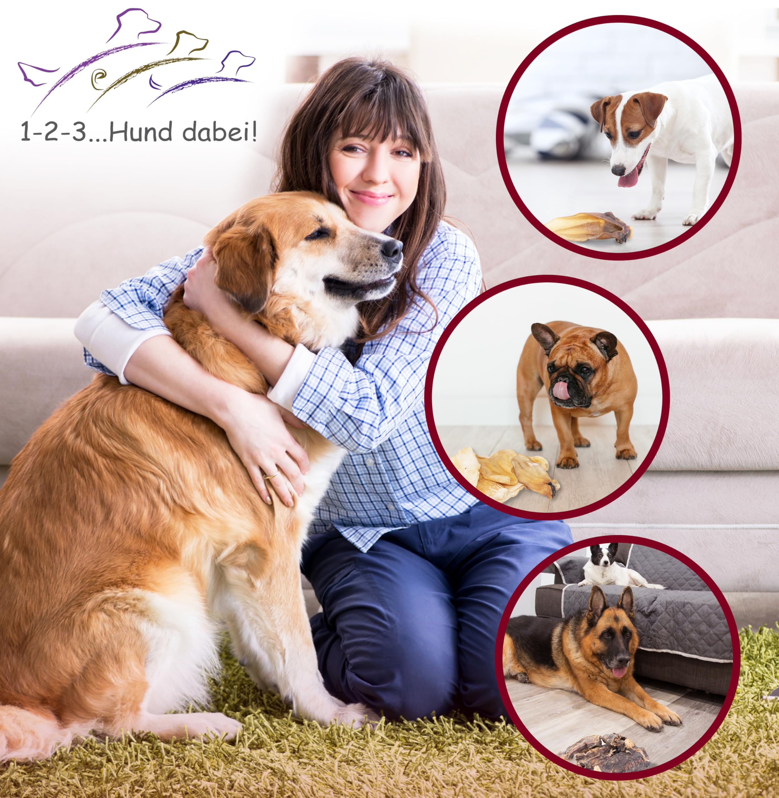 Orejas de vacuno con concha de 50 unidades - Snack magro para intermedios y como recompensa - Orejas de vacuno con concha para perros grandes - Paquete de almacenamiento (50 tubos