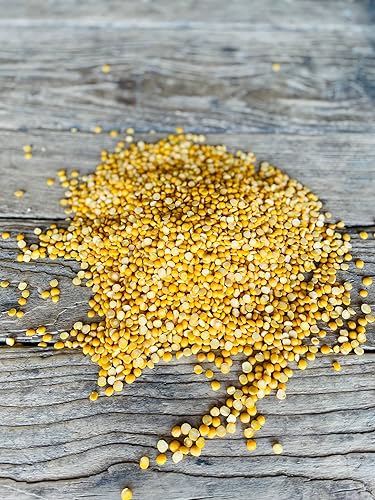 North Lily - Guisantes amarillos divididos, sin OMG, Kosher, 50 libras