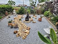 Review Image by Eddie Eddie