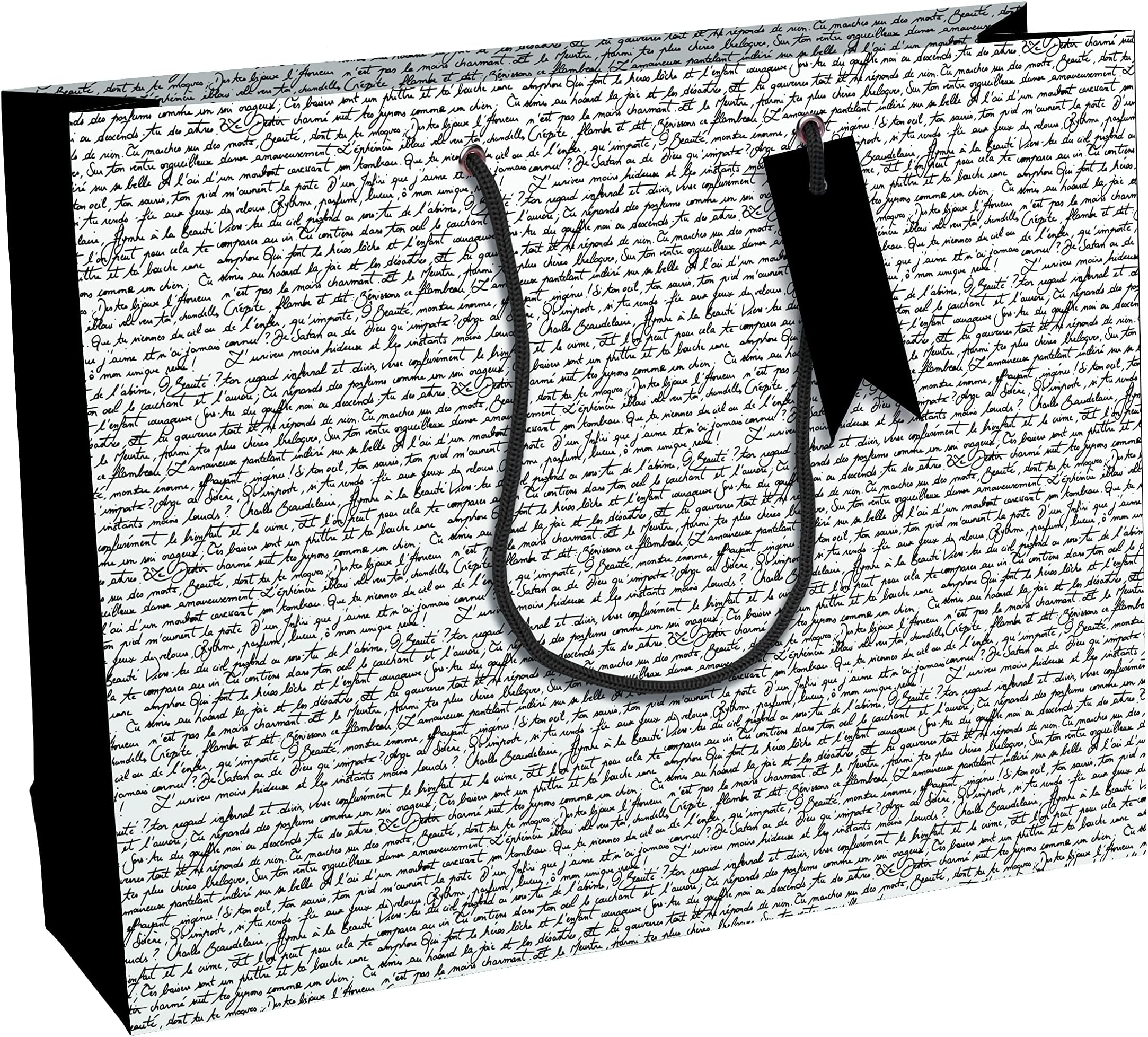 Eurowrap - 32493-6Cpack - Un lot de 6 sacs cadeaux adulte - Grands formats 37,3x11,8x27,5cm - Poésie, Écriture - Qualité supérieure, résistant :210g - idéal pour : jeux de société, puzzles, coffrets