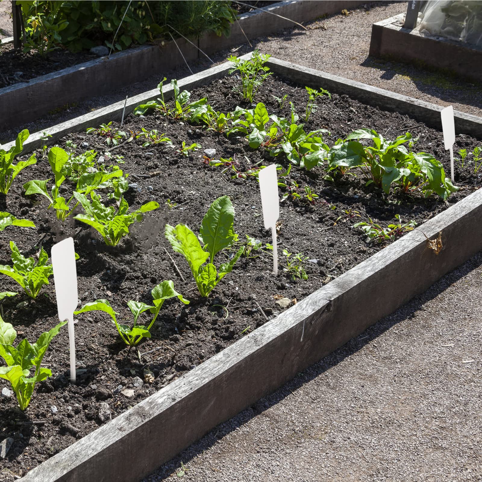 30Stk Pflanzenschilder Plastik, 28 cm Kunststoff Kräuterschilder Wasserfest, Weiß Groß Pflanzschilder zum Beschriften für Baumschulen Pflanzen Zierpflanzen Blumen Gemüse Garten