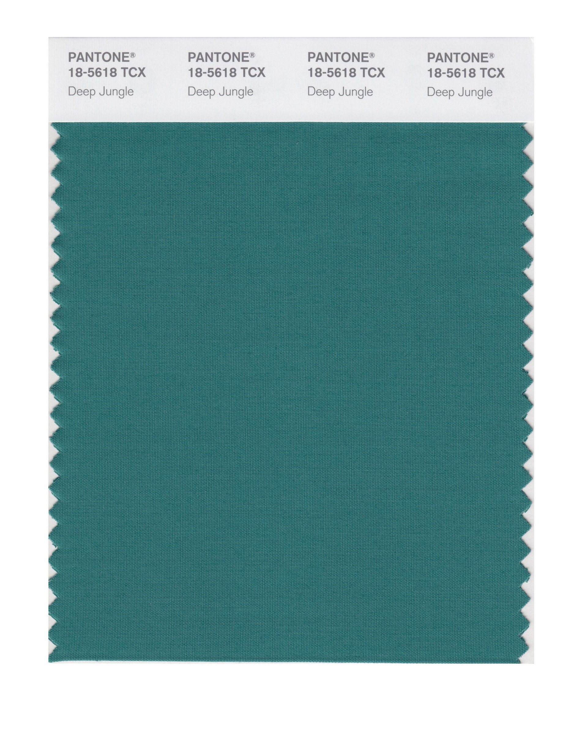 Amazon.com: PANTONE SMART 18-5618X Color Swatch Card, Deep Jungle