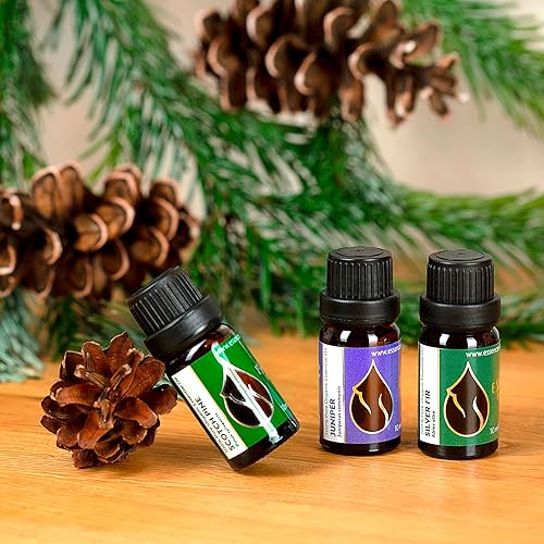 Miniatura 8 de Essences Bulgaria Aceite esencial de abeto plateado orgánico de 13 fl oz  0.3 fl oz  Abies alba  100% puro y natural  Sin diluir  Grado terapéutico