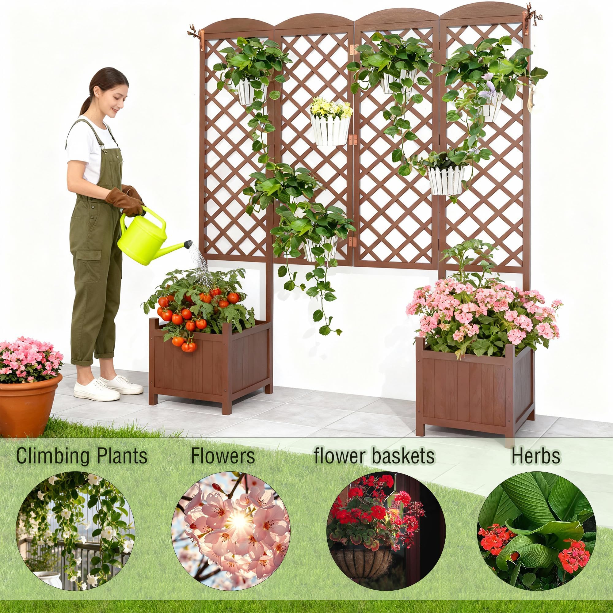 Vaso rialzato in abete impermeabile con traliccio per rampicanti 160x40,6x183 cm | Vaso da giardino schermo visivo con drenaggio | Modulare per piante rampicanti marrone scuro(Confezione da 2 pezzi)