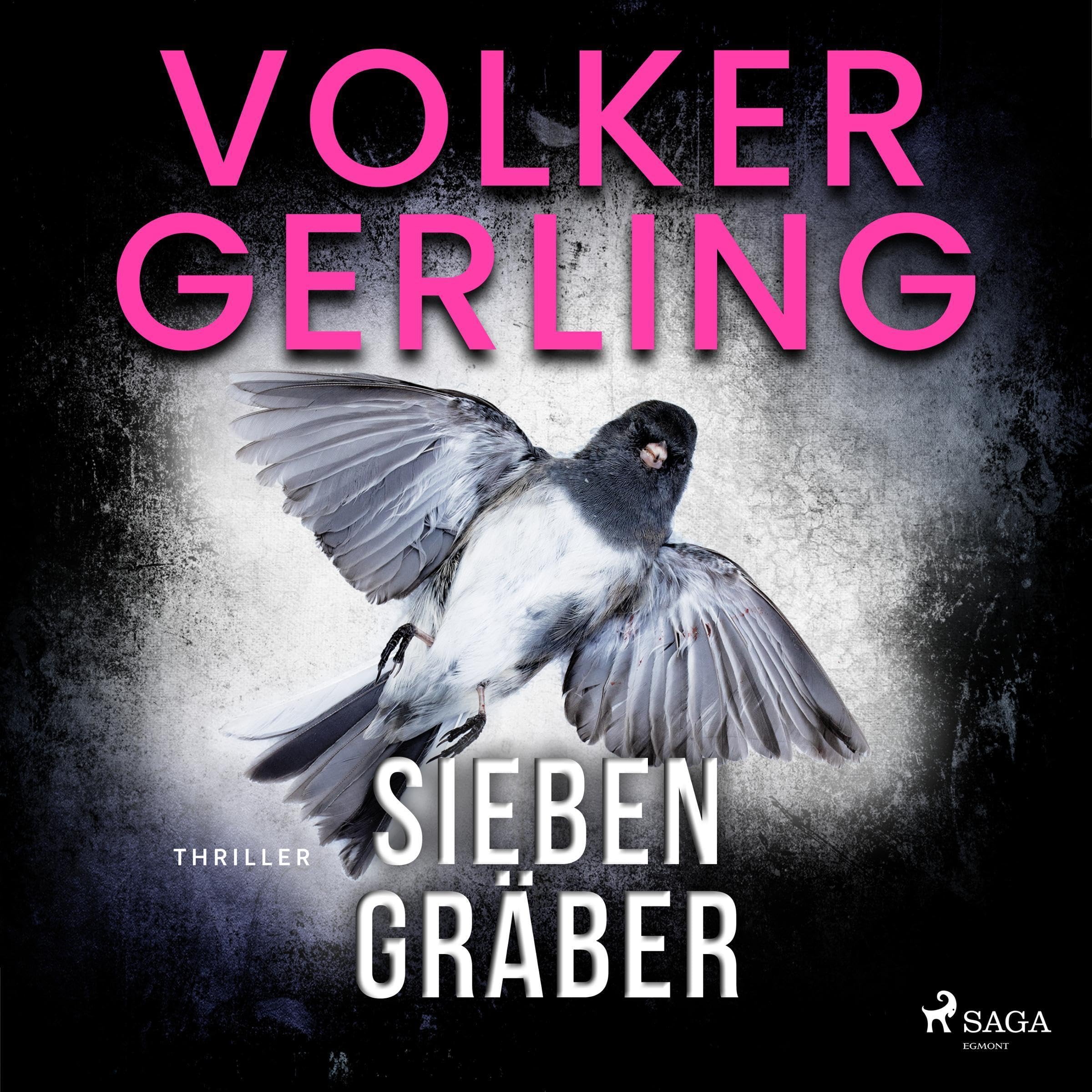 Cover art for Sieben Gräber