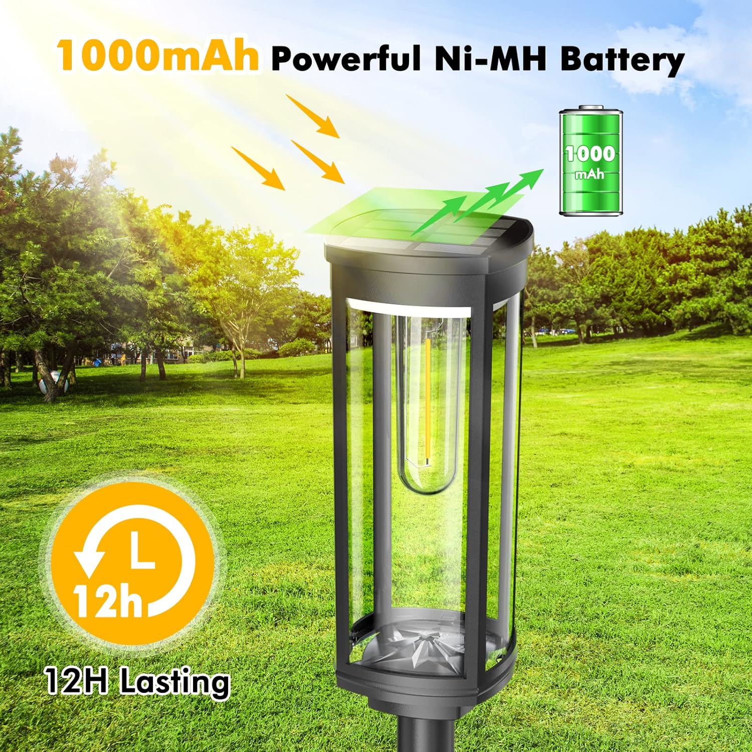 COXSENI Retro Solar Pathway Lights Outdoor 8 Pack + Modern Solar Path Lights 4 Pack