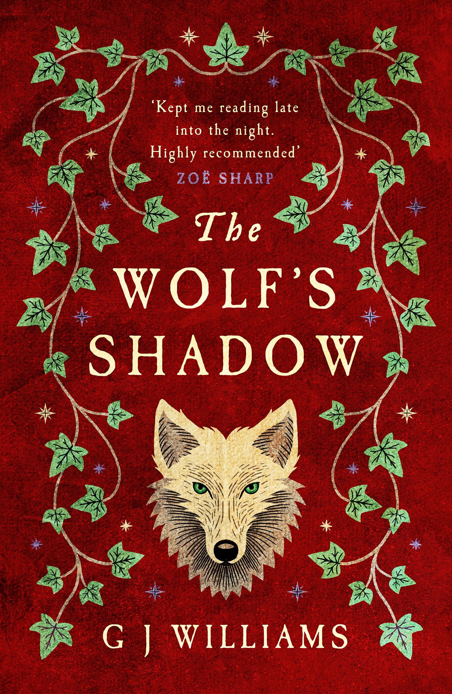 The Wolf's Shadow: 'A joy for the senses... see the smoke and grime of Tudor London' Chris Lloyd (The Tudor Rose Murders Book 2) (English Edition)