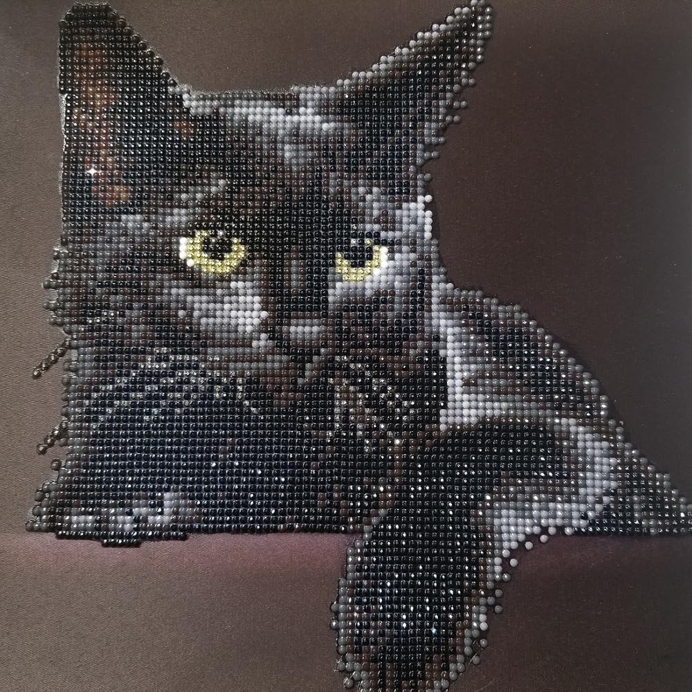 Midnight Cat | Diamond Painting Kits Cats | Diamond Dotz – DIAMOND
