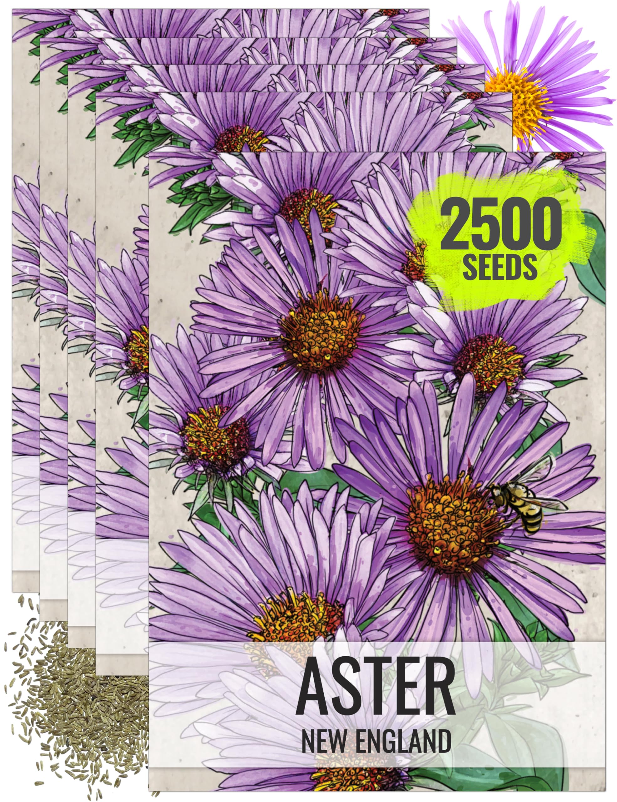 Seed Needs New England Aster Seeds