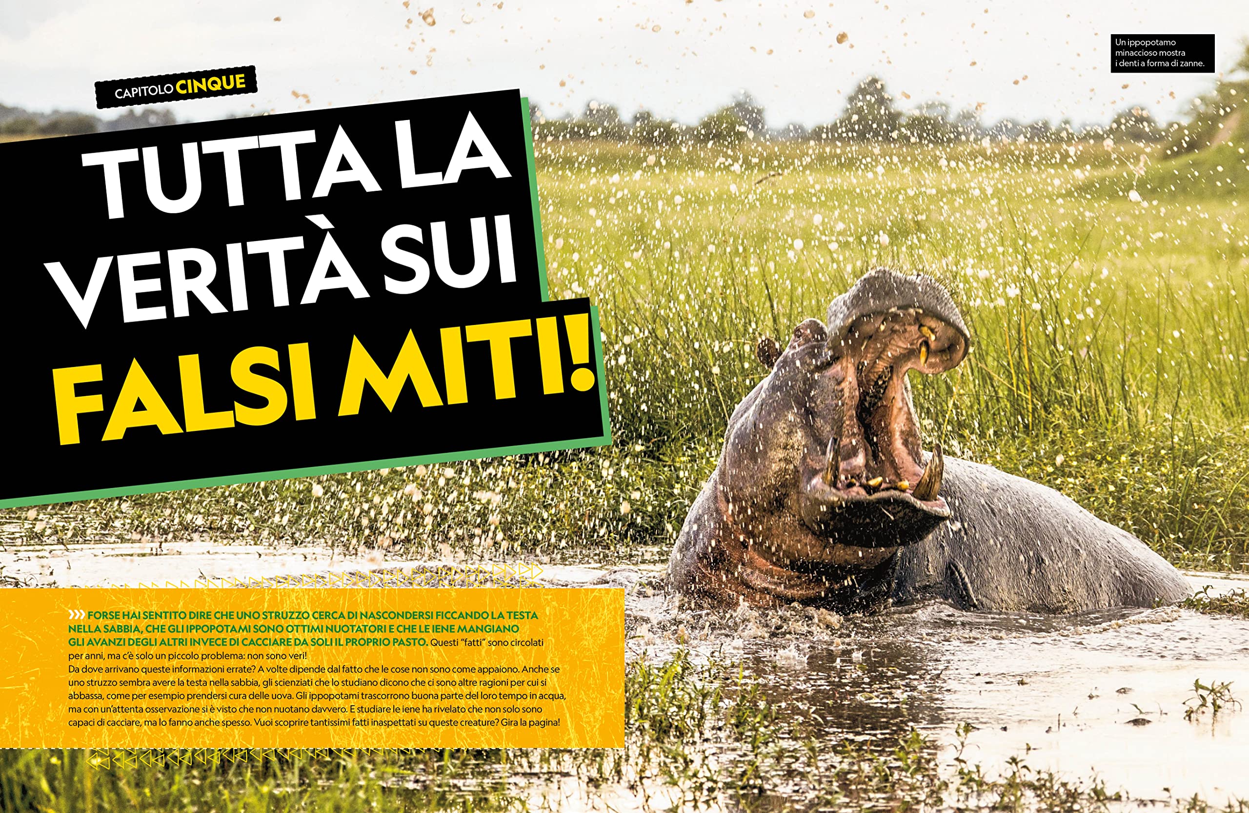 Il grande libro degli animali dell'Africa. Ediz. a colori