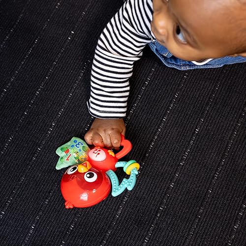Miniatura 35 de Baby Einstein Take Along Tunes Musical Juguete, paquete de de 1 Rojo