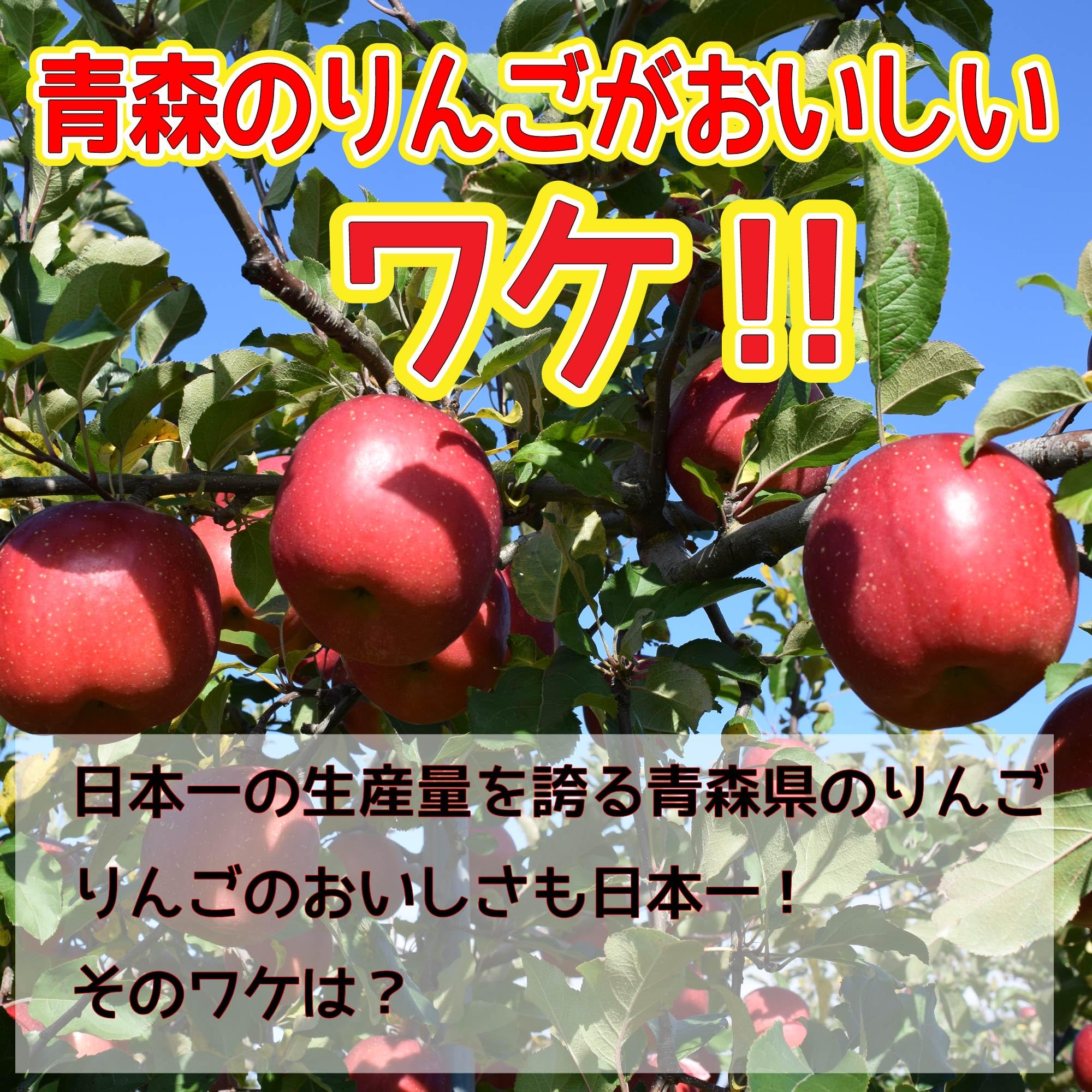 Amazon.co.jp: クール便 青森県産 訳あり スマートフレッシュ！ りんご