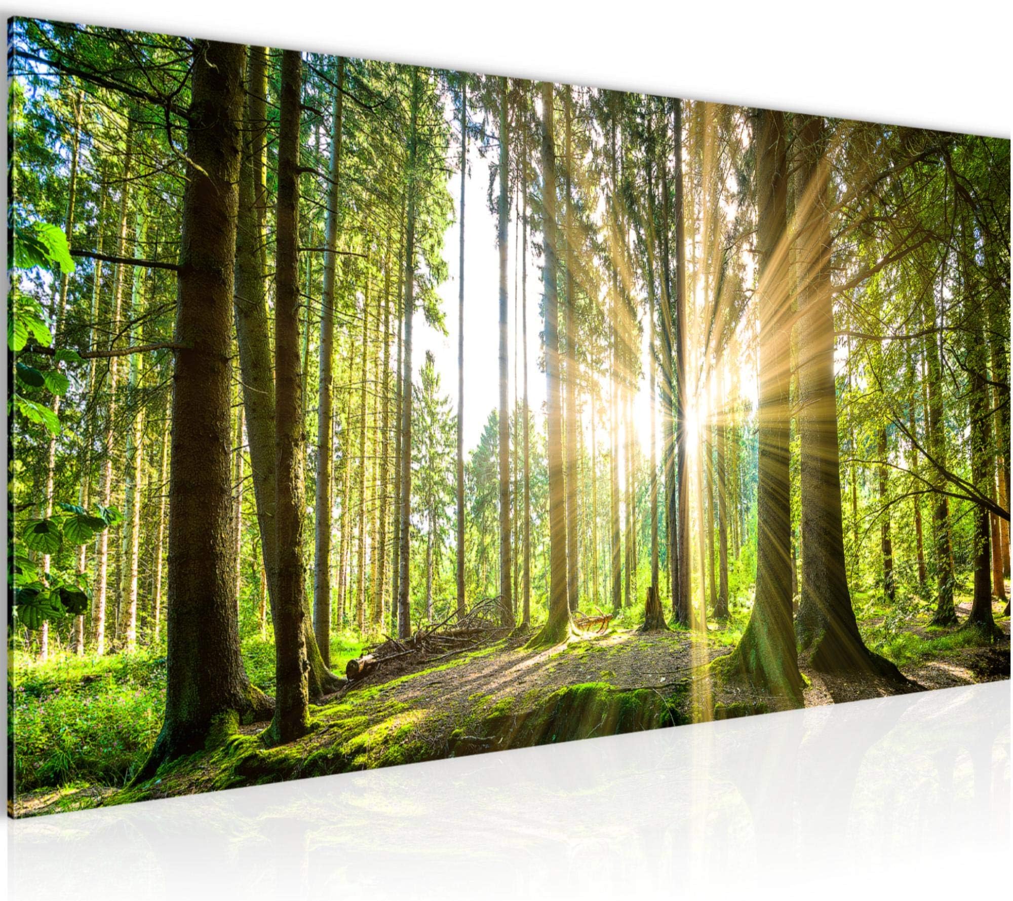 Runa Art Canvas Wall Art Forest Landscape 1 Part Non-woven Canvas Prints for Living Room and Bedroom Sun Green 503812b