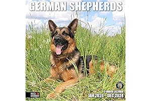 German Shorthair Pointer Calendar 2023