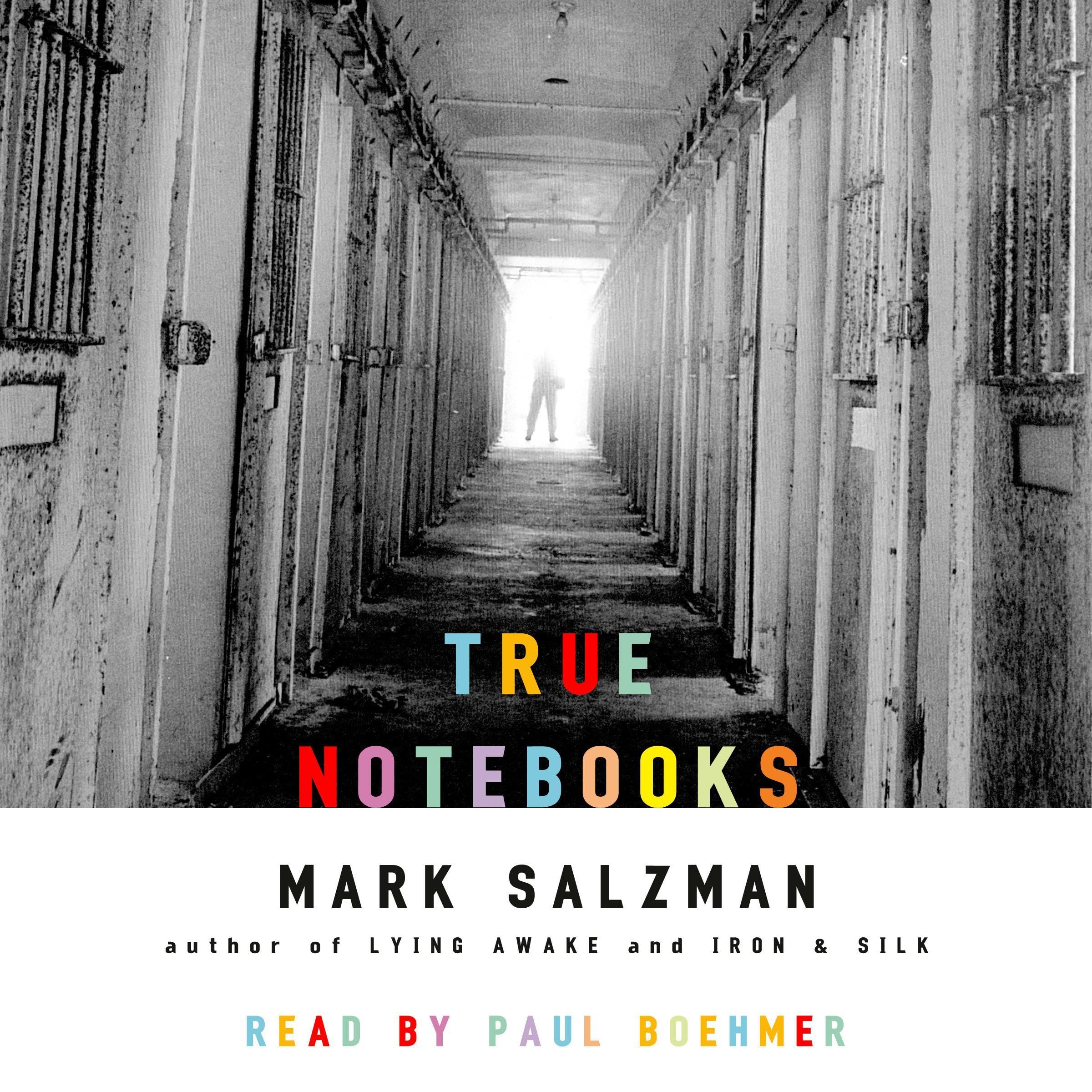 Cover art for True Notebooks