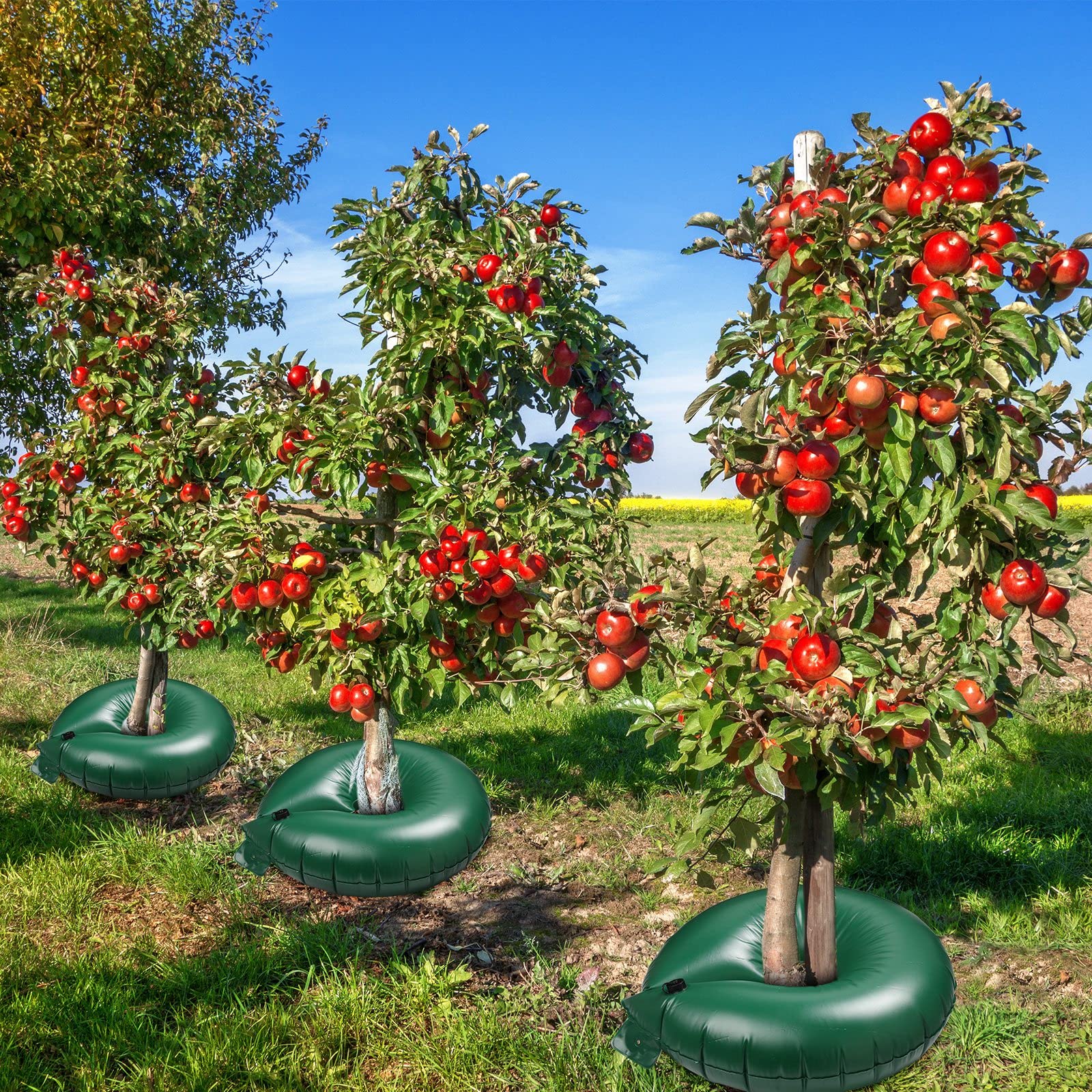 6 Pcs Heavy Duty Tree Watering Ring Deep Root Tree Watering Bag Round Trees Water Pouch PVC Slow Release Watering Bags Tree Drip Irrigation Rings for Planting Gardening Trees (Green, 15 Gallon)