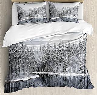 Ambesonne Woodland Duvet Cover Set, Lake Surrounded by Snow Covered Trees on a Cold Winter Day in Finland Reflections, Decorative 3 Piece Bedding Set with 2 Pillow Shams, Queen Size, Grey White