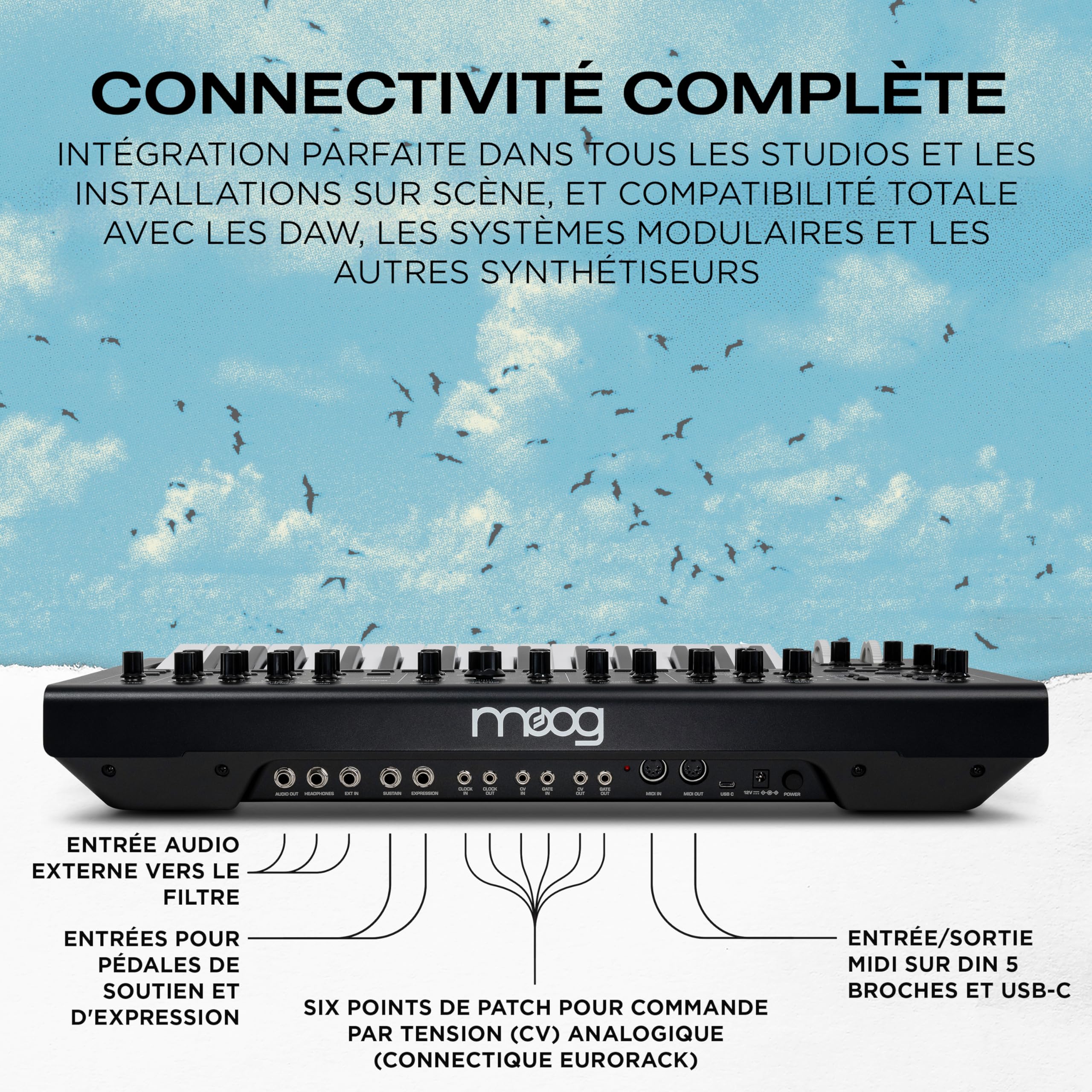 MOOG Messenger - Synthétiseur Monophonique Analogique Nouvelle Génération avec Clavier 32 Touches, Séquenceur 64 Pas, 256 Préréglages et Compensation RES BASS