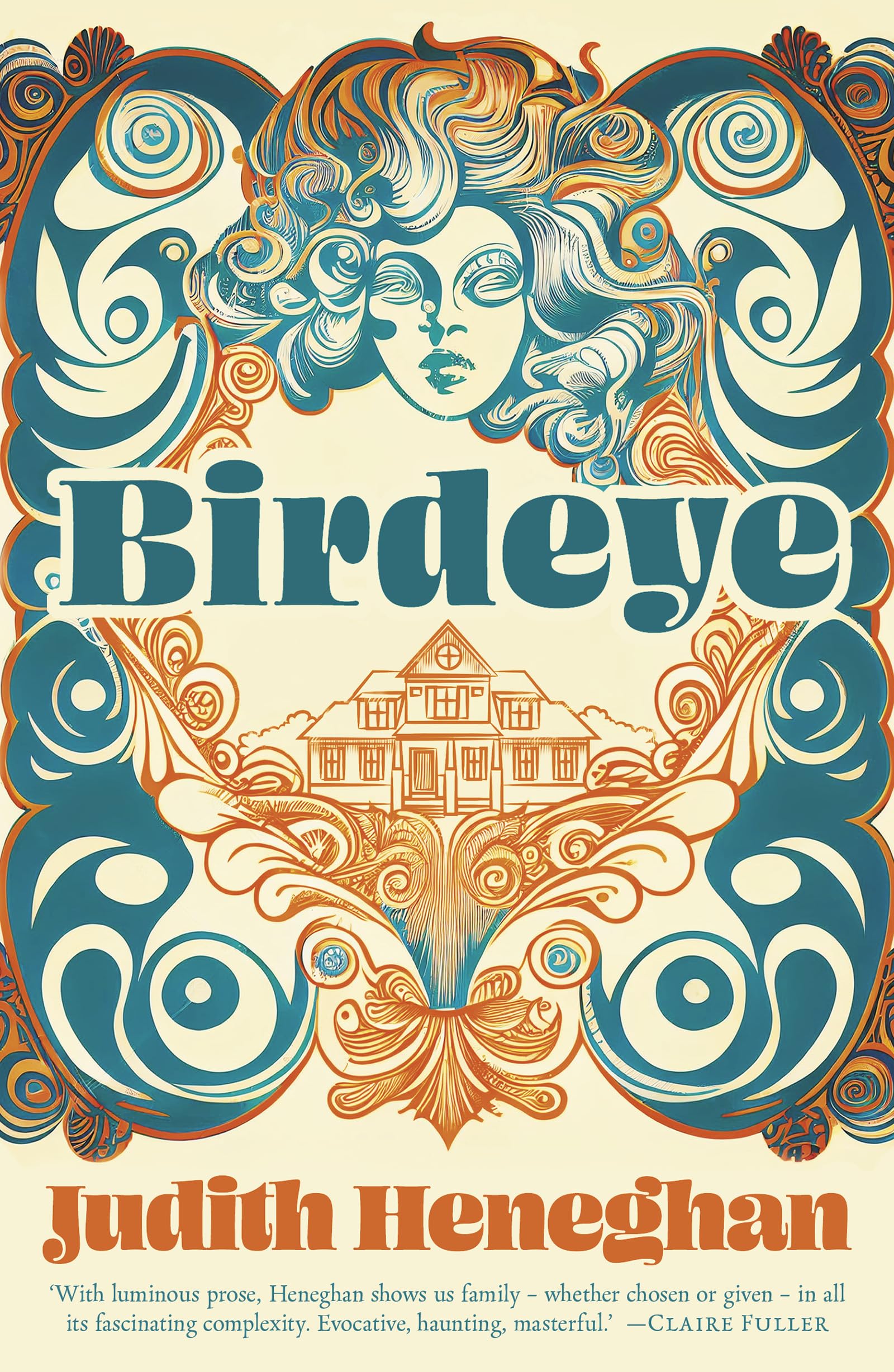 Birdeye by Judith Heneghan (Paperback Book)