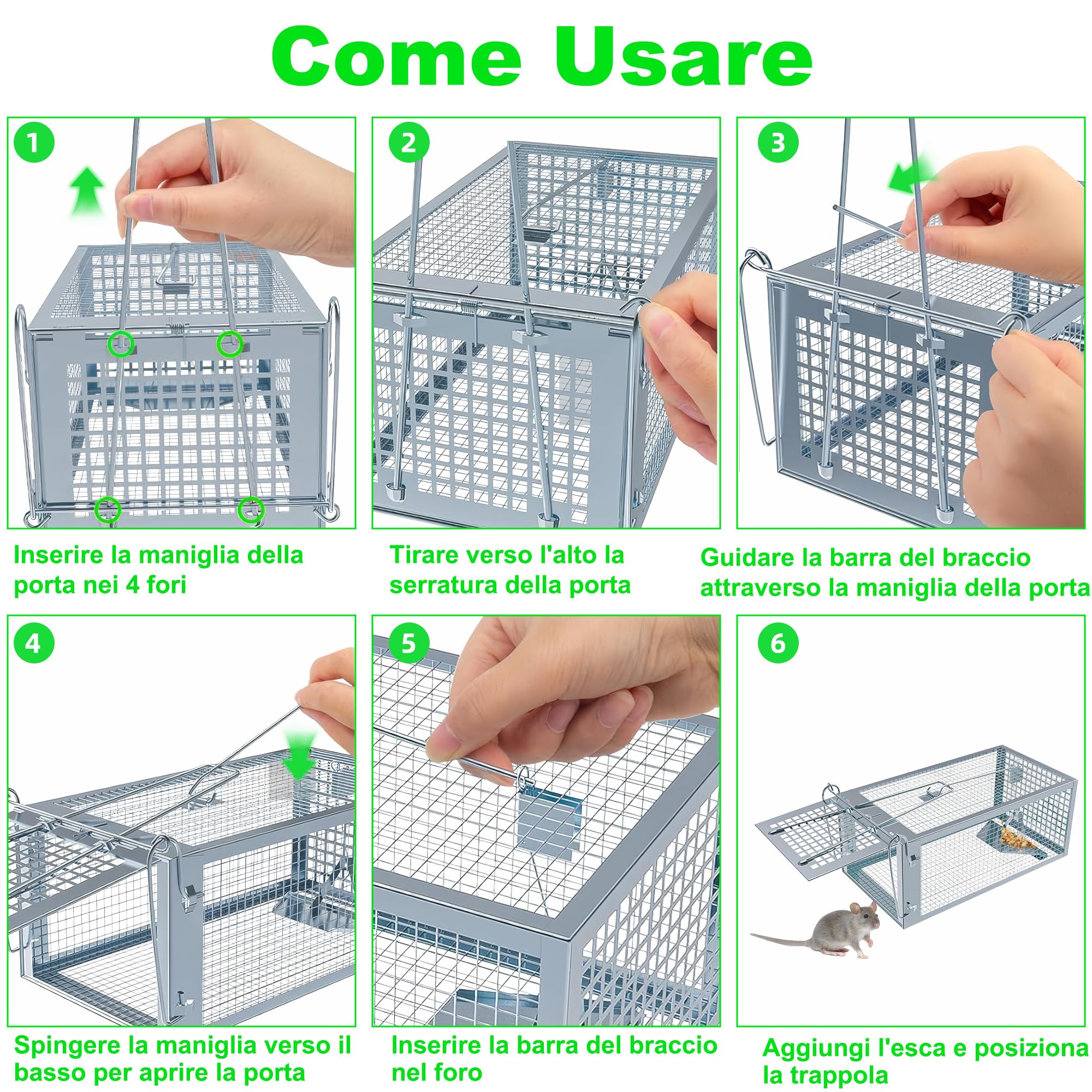 Trappola per Topi Vivi, 2 x Grande XL Gabbie Trappola per Interno e Esterno - Senza Uccidere e Riutilizzabile - Pronta all'Uso - Per Ratti e Piccoli Roditori - 27 cm x 14 cm x 12 cm