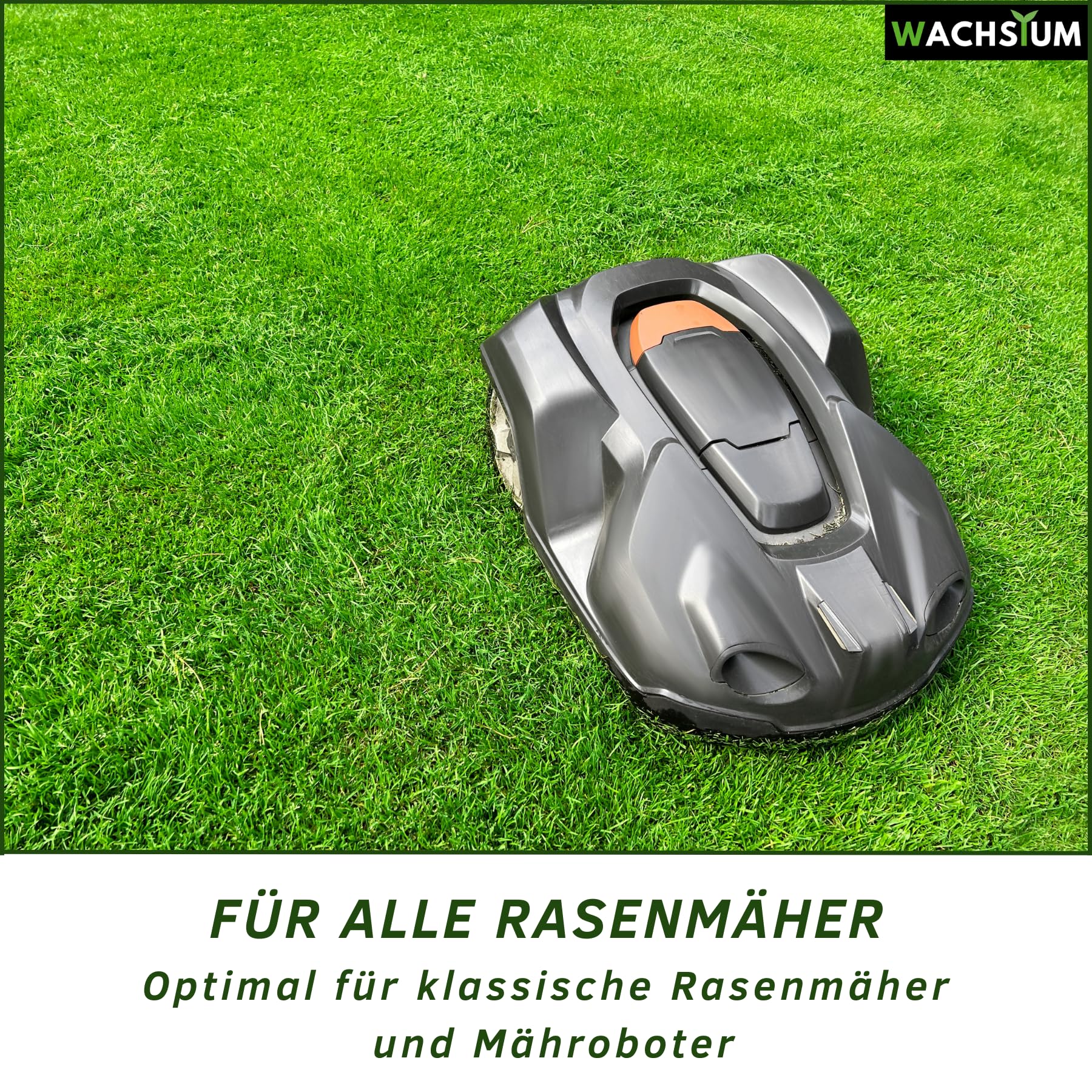 Rasensamen schnellkeimend 1kg 40qm – Frühjahr und Sommer Premium Grassamen Nachsaat, dichter strapazierfähiger Rasen, Mähroboter geeignet – kräftiges Wachstum, RSM Qualität, - 5