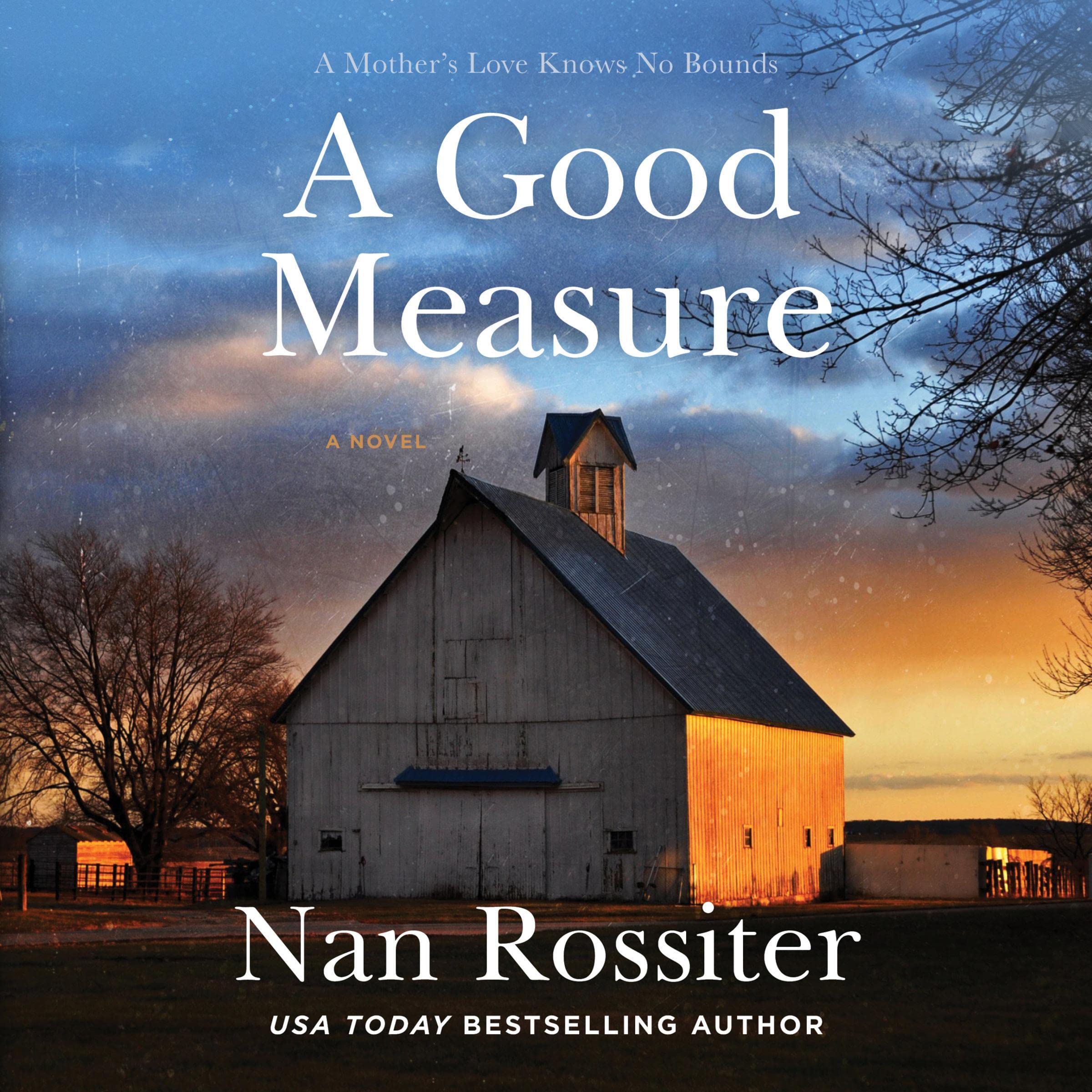 Cover art for A Good Measure