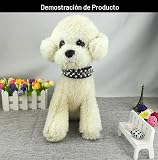 Ver la foto 5