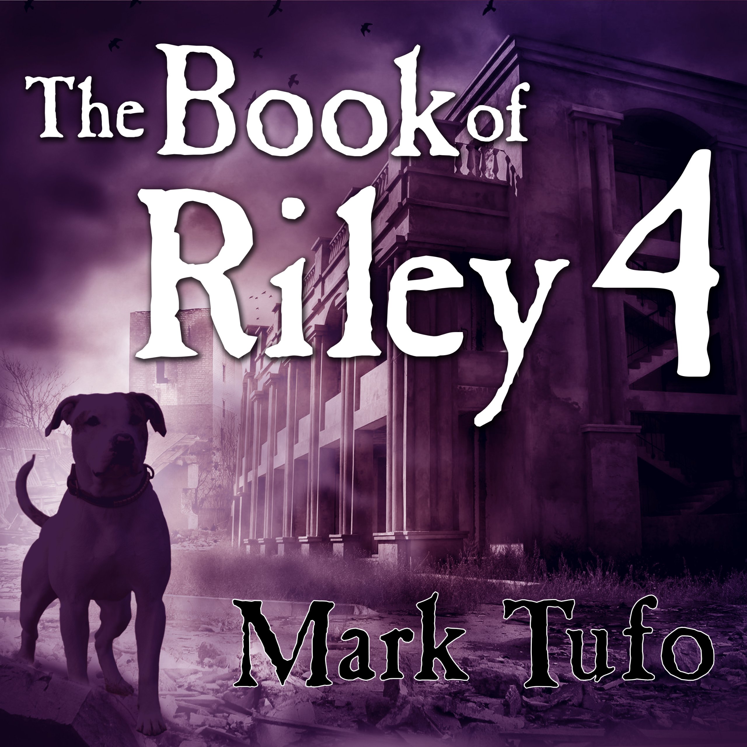 Cover art for The Book of Riley 4