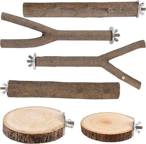 6 PCS Bird Perch Set, Natural Birch Wood Straight & — main product photo from Amazon listing (ASIN B0FR8RQTK4)
