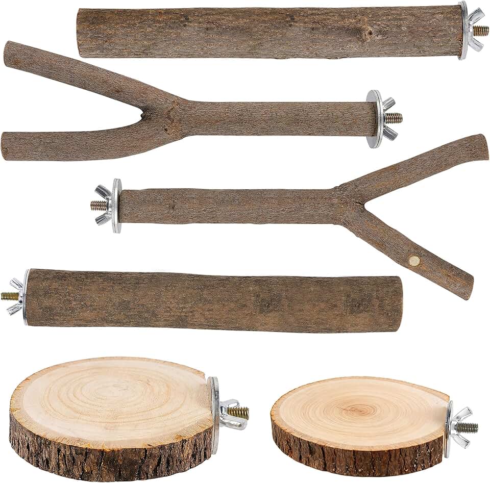 6 PCS Bird Perch Set, Natural Birch Wood Straight & Forked Perches with Platforms for Parakeets, Cockatiels, Conures, Lovebirds - 