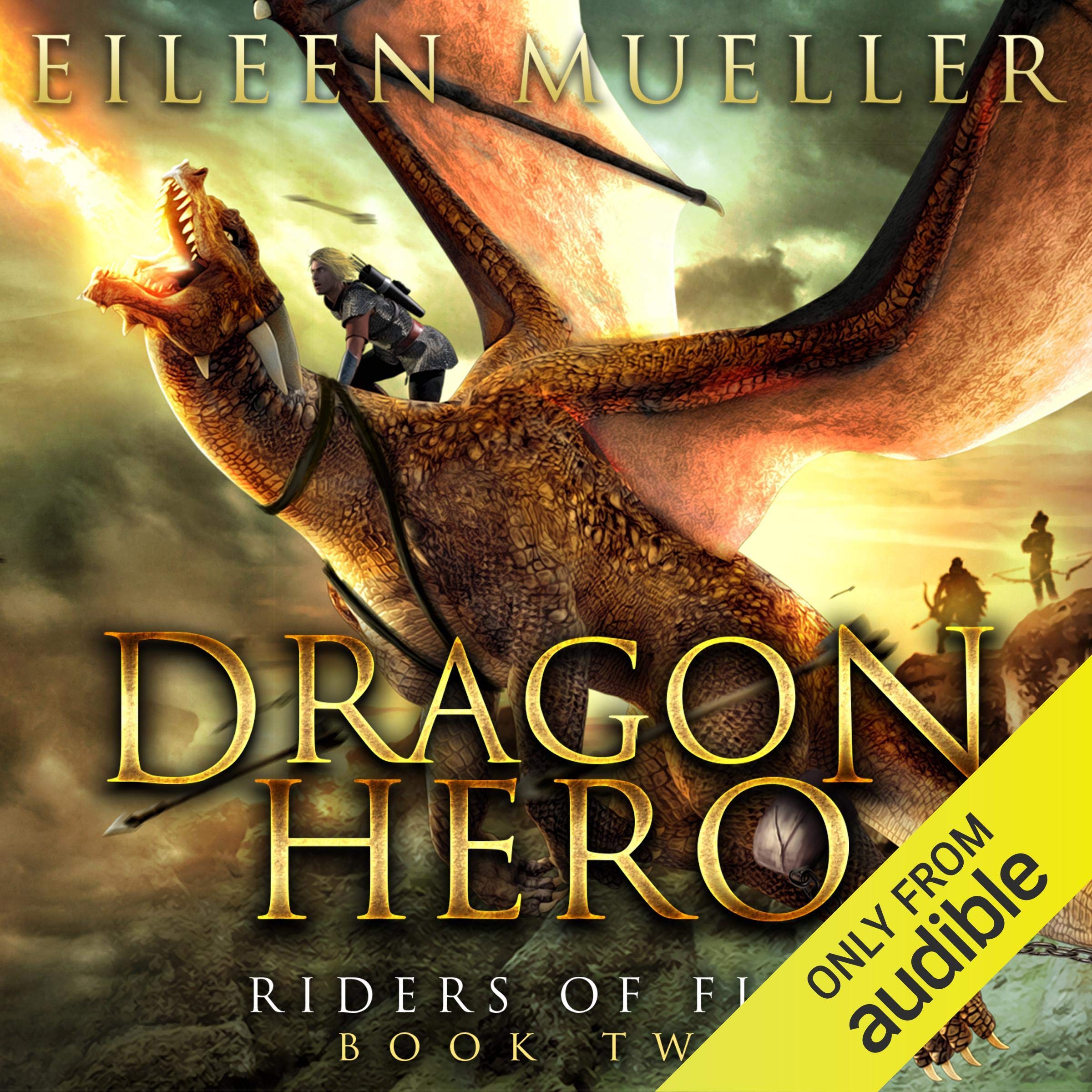 Dragon Hero: Riders of Fire, Book Two - A Dragons' Realm novel