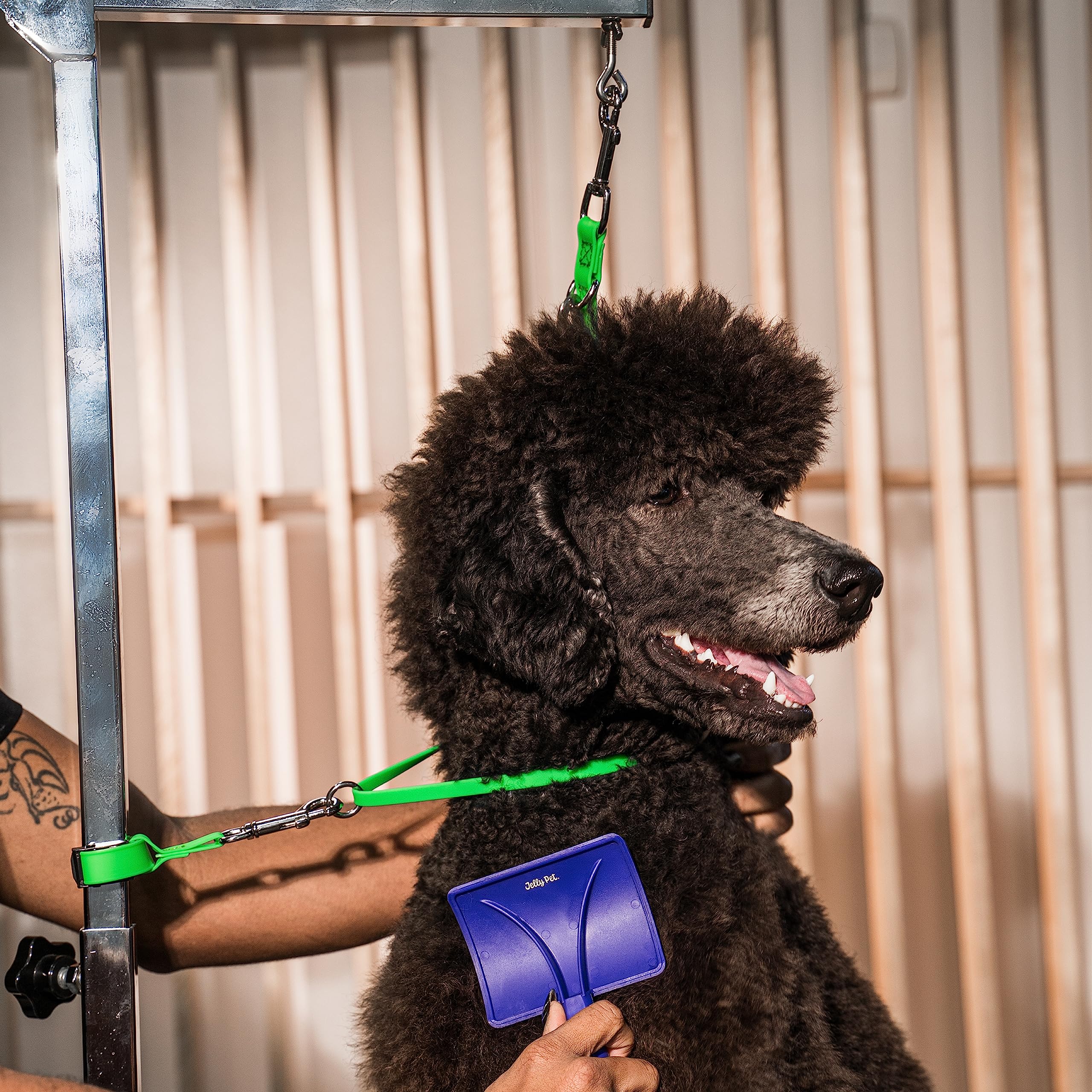 Jelly Pet Correa de seguridad para perros, fabricada en los Estados Unidos, para el aseo de mascotas (verde azulado)