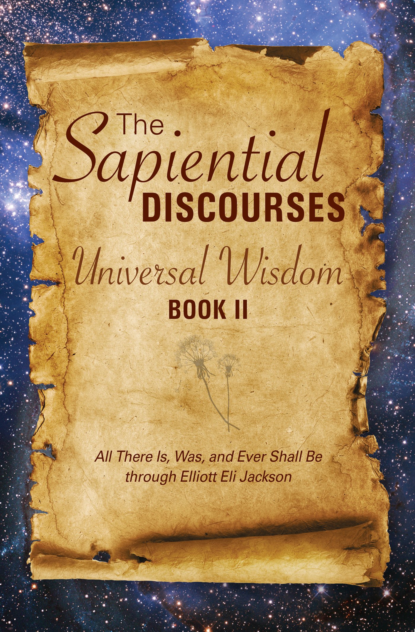 The Sapiential Discourses 2 (Sapiential Discourses: Universal Wisdom)